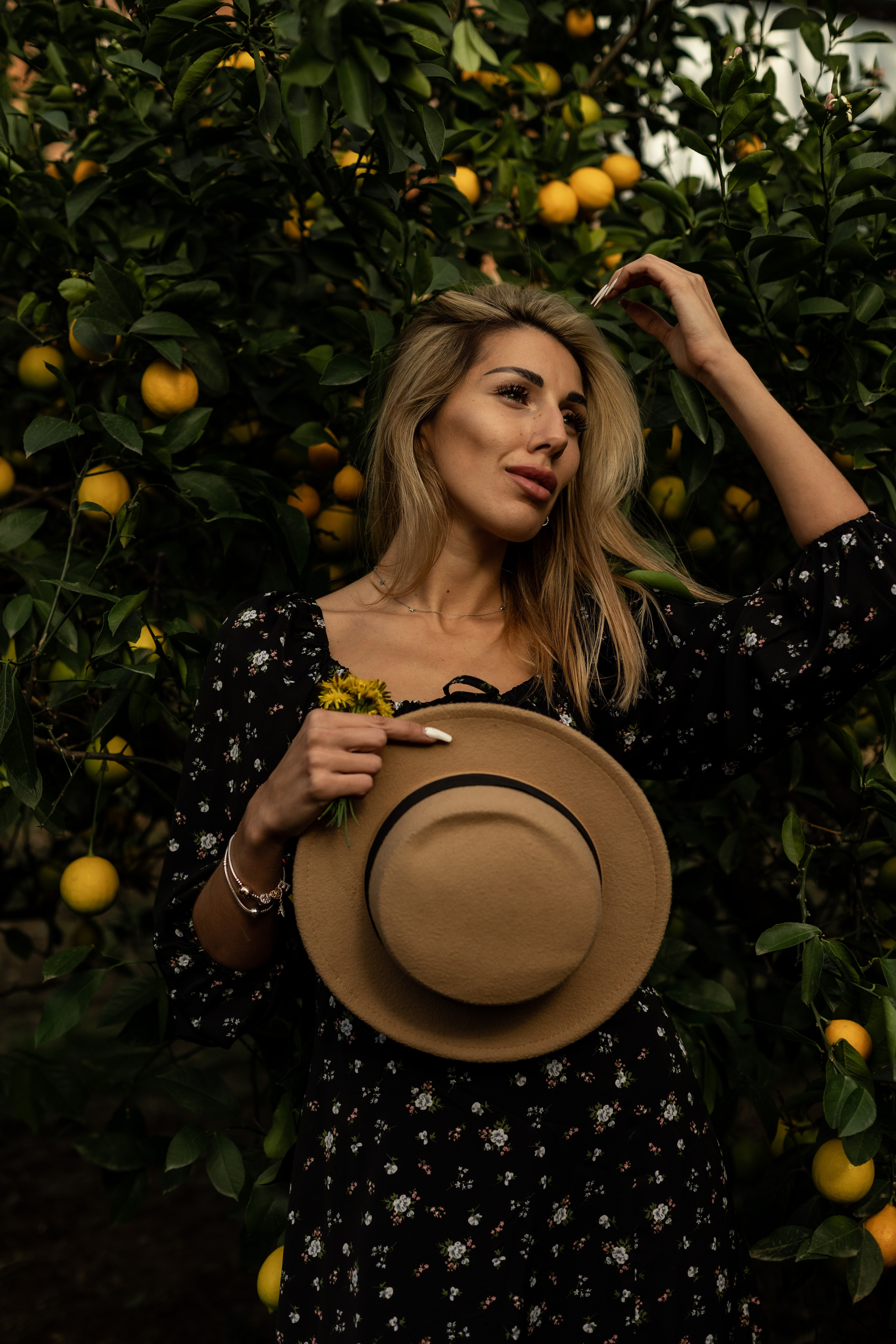 Tangerine grove. Photographer in Saint-Petersburg and Moscow Max Spector