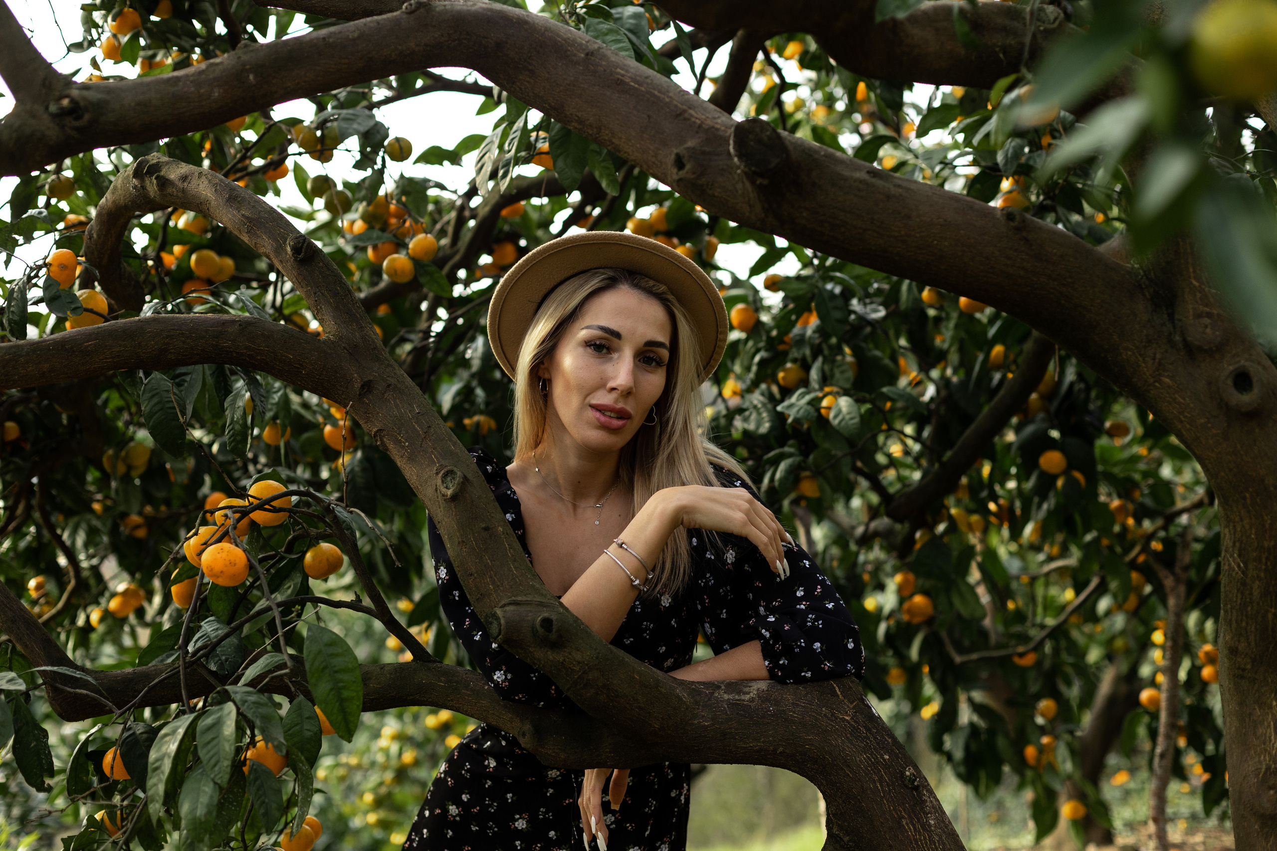Tangerine grove. Photographer in Saint-Petersburg and Moscow Max Spector