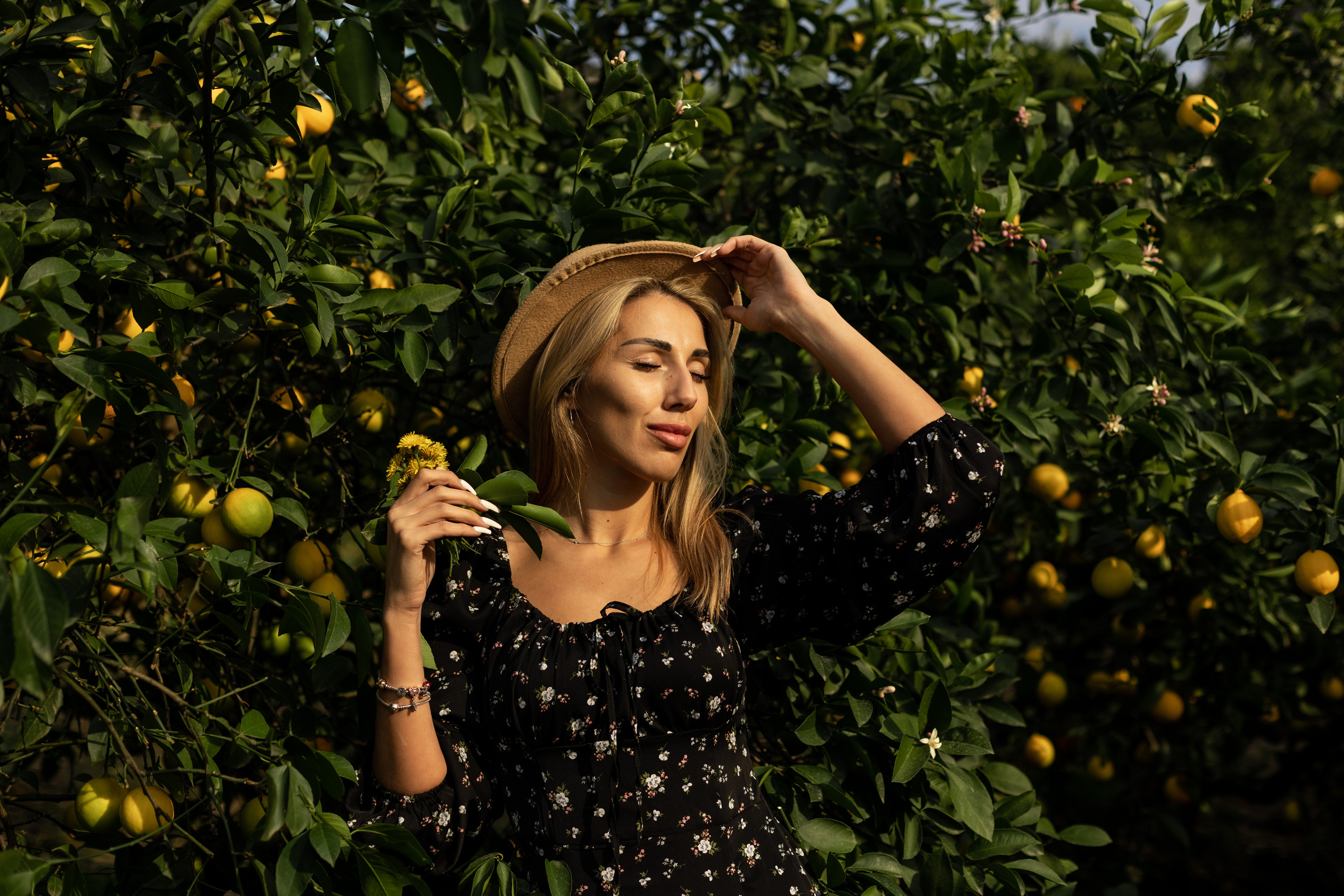 Tangerine grove. Photographer in Saint-Petersburg and Moscow Max Spector