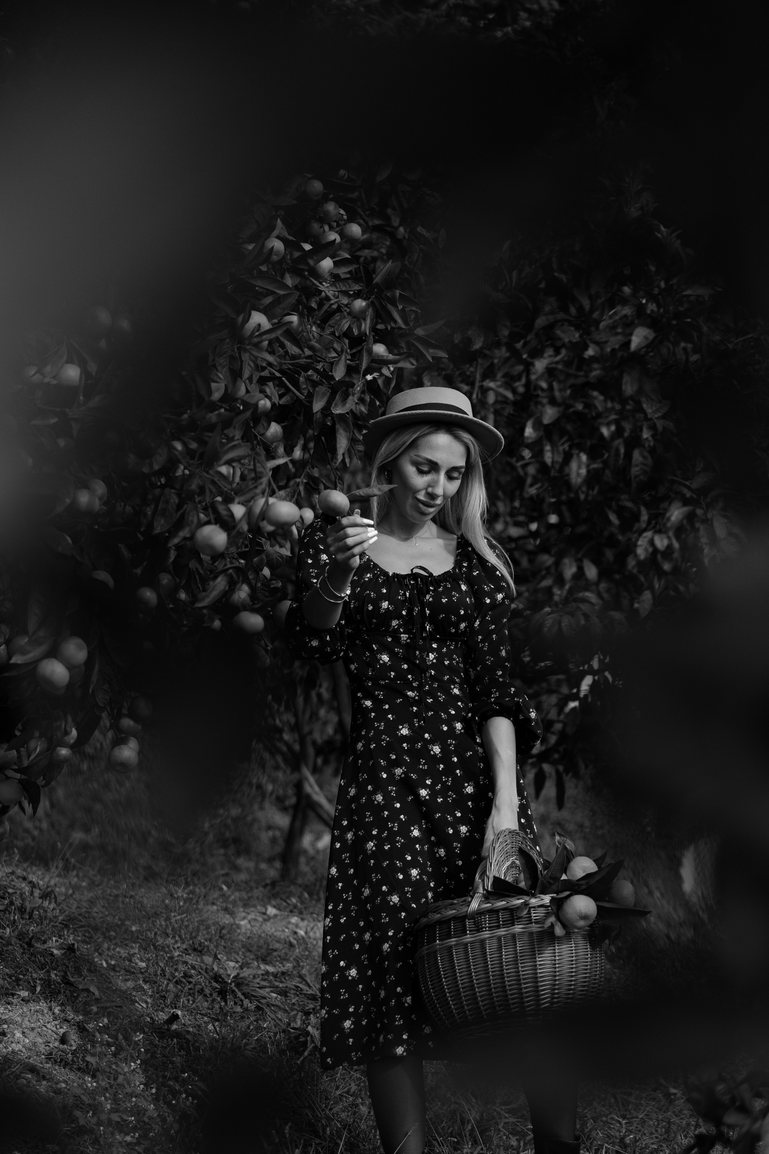 Tangerine grove. Photographer in Saint-Petersburg and Moscow Max Spector