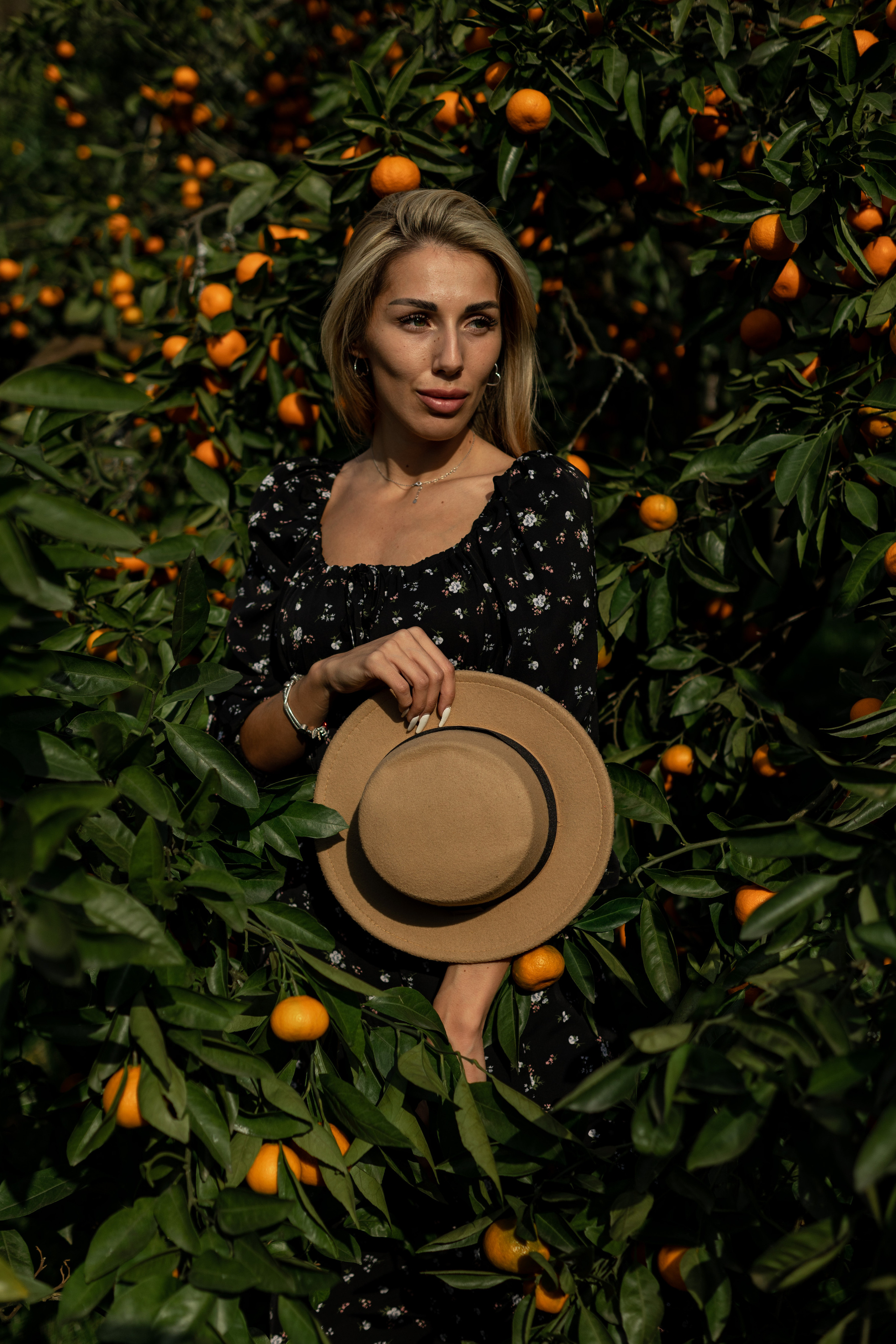 Tangerine grove. Photographer in Saint-Petersburg and Moscow Max Spector