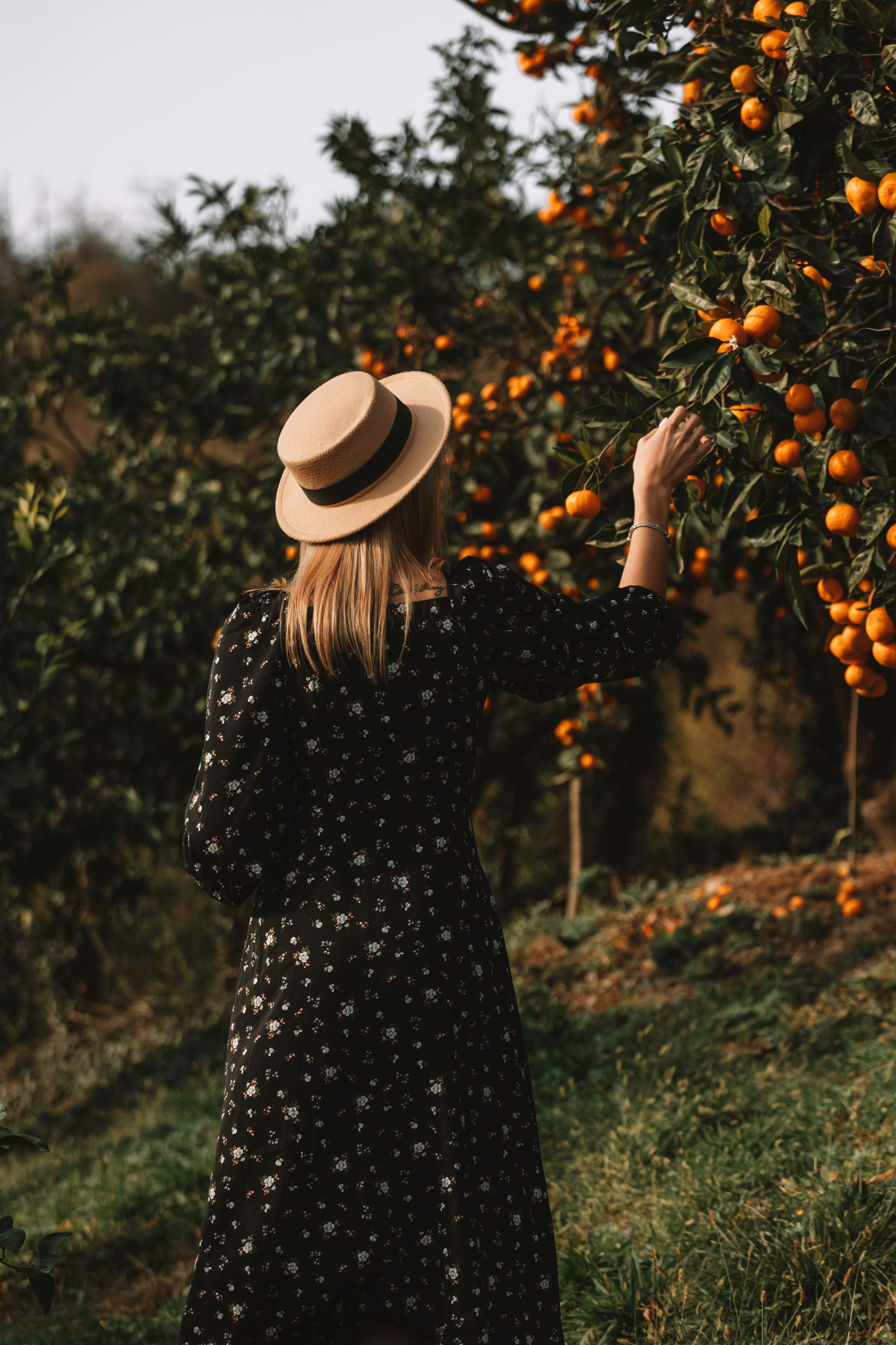 Tangerine grove. Photographer in Saint-Petersburg and Moscow Max Spector