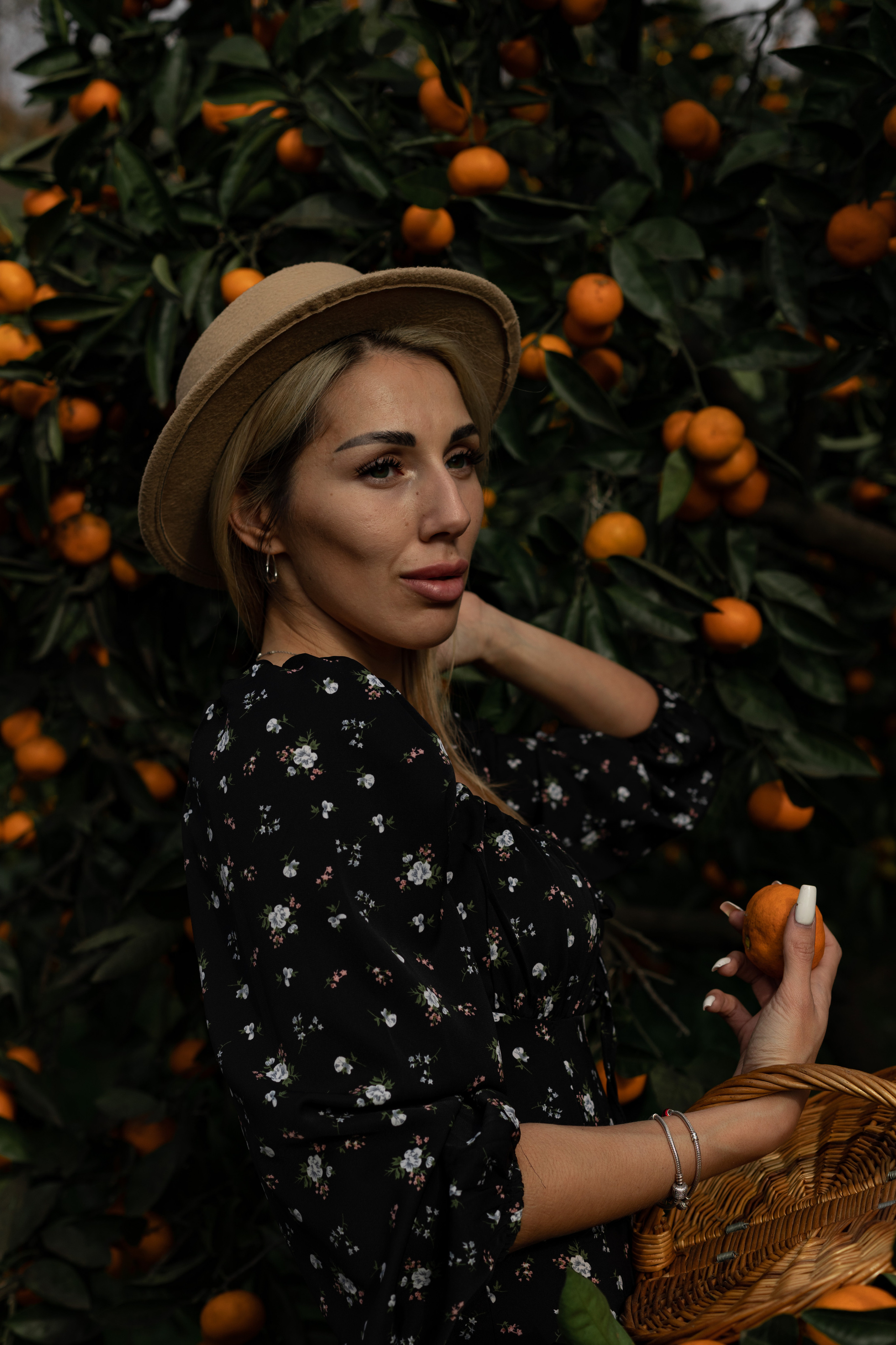 Tangerine grove. Photographer in Saint-Petersburg and Moscow Max Spector