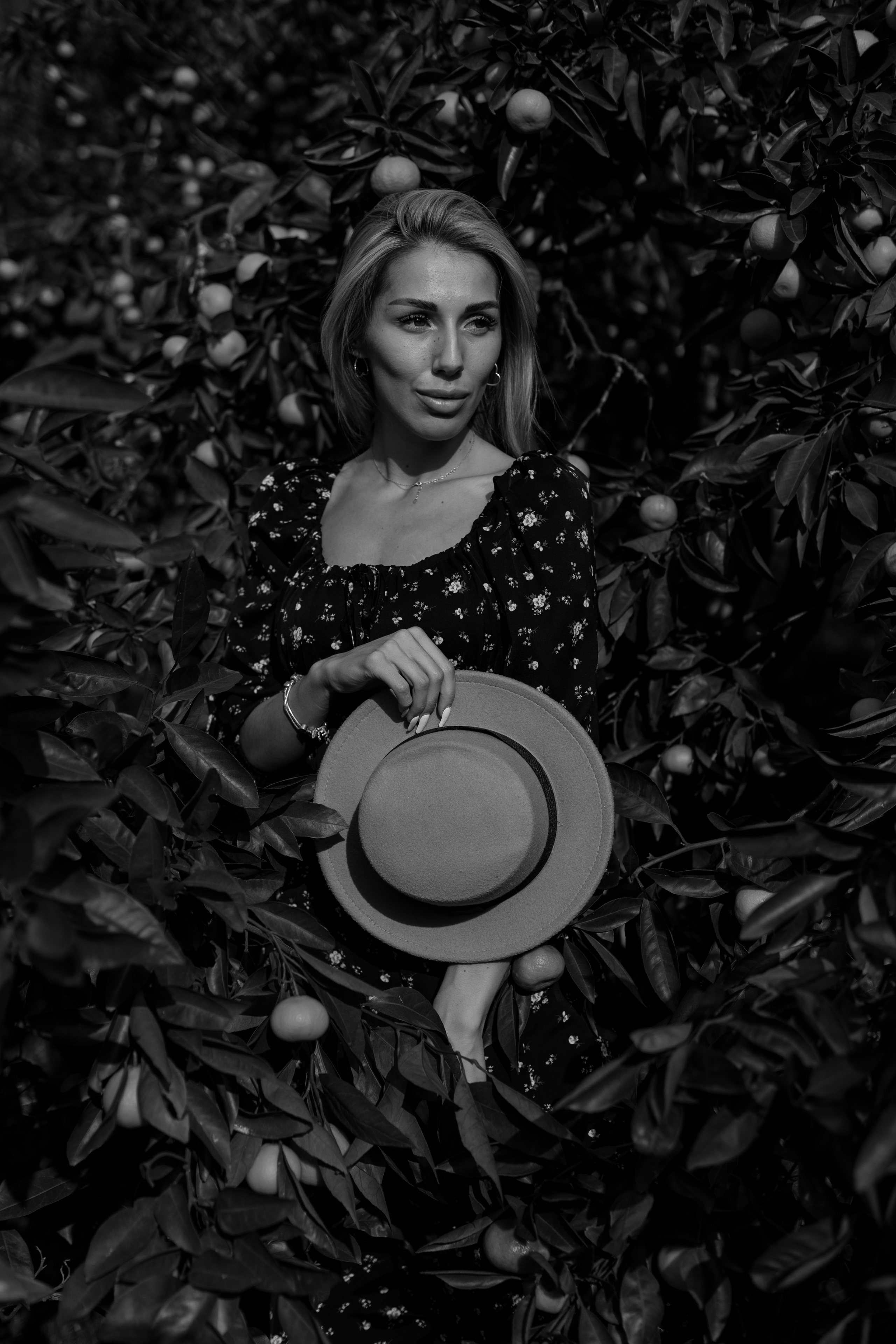 Tangerine grove. Photographer in Saint-Petersburg and Moscow Max Spector