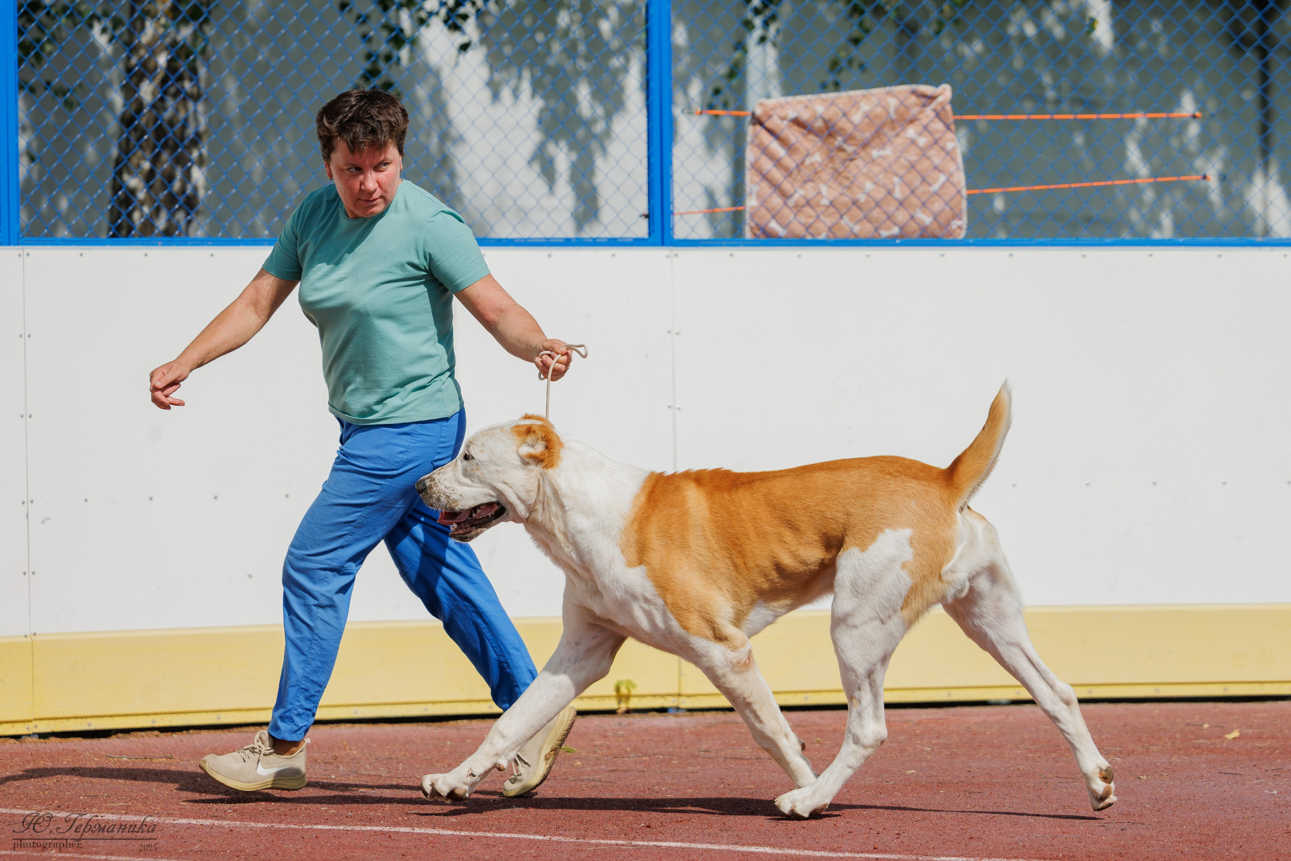 Коломна 30.08.2025. Фотограф-анималист Юлия Германика