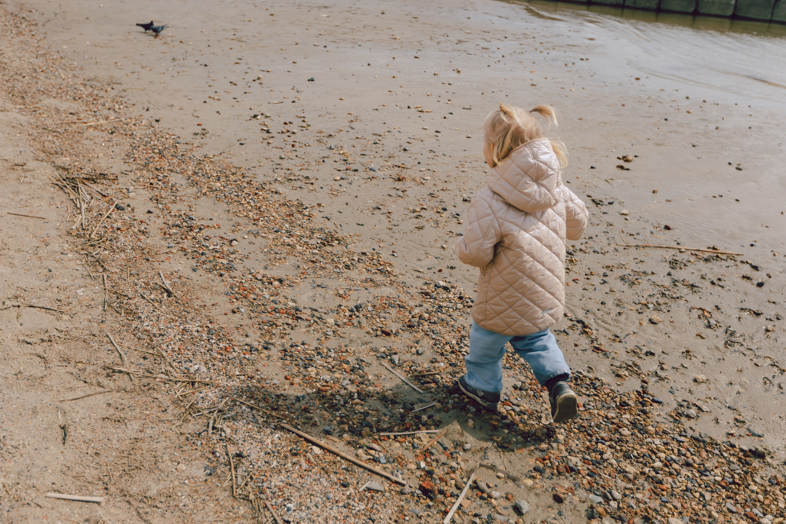 Алина, Алиса, Арина. Фотограф Таганрог Любимая Надя