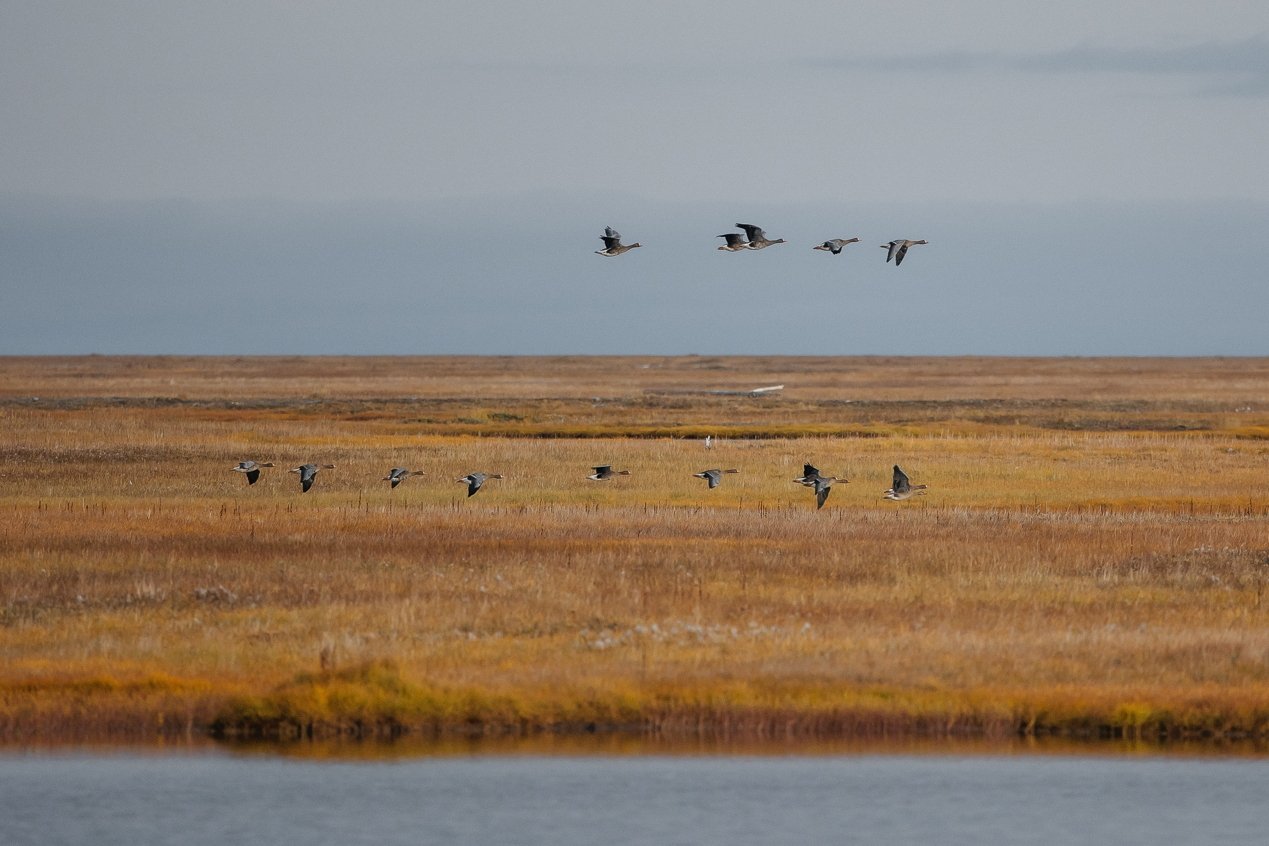 ПЕЙЗАЖ И ЛЮДИ. Саргылана Афанасьева