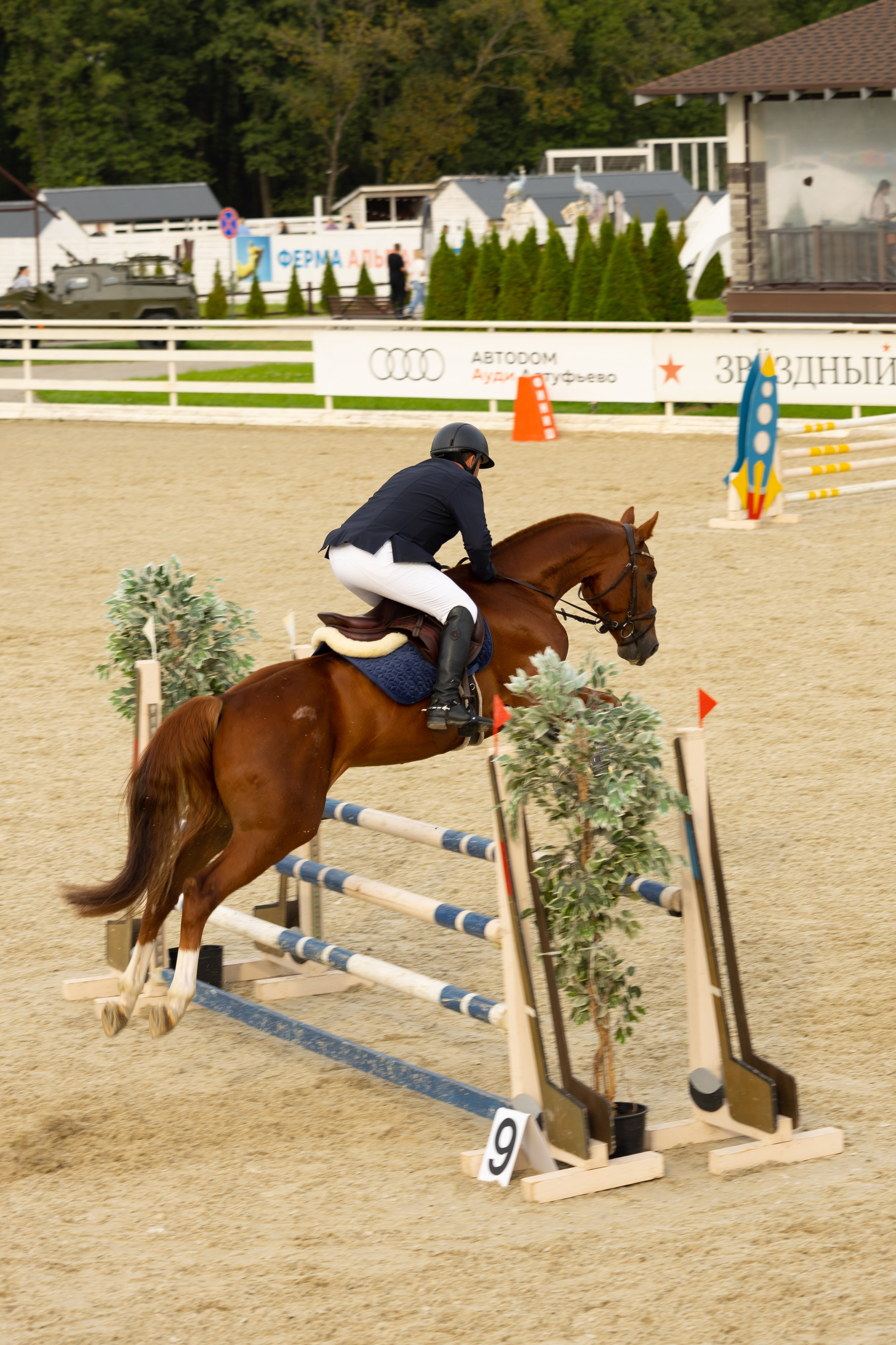 Соревнования по конкуру. Фотограф в Москве Светлана Богначева