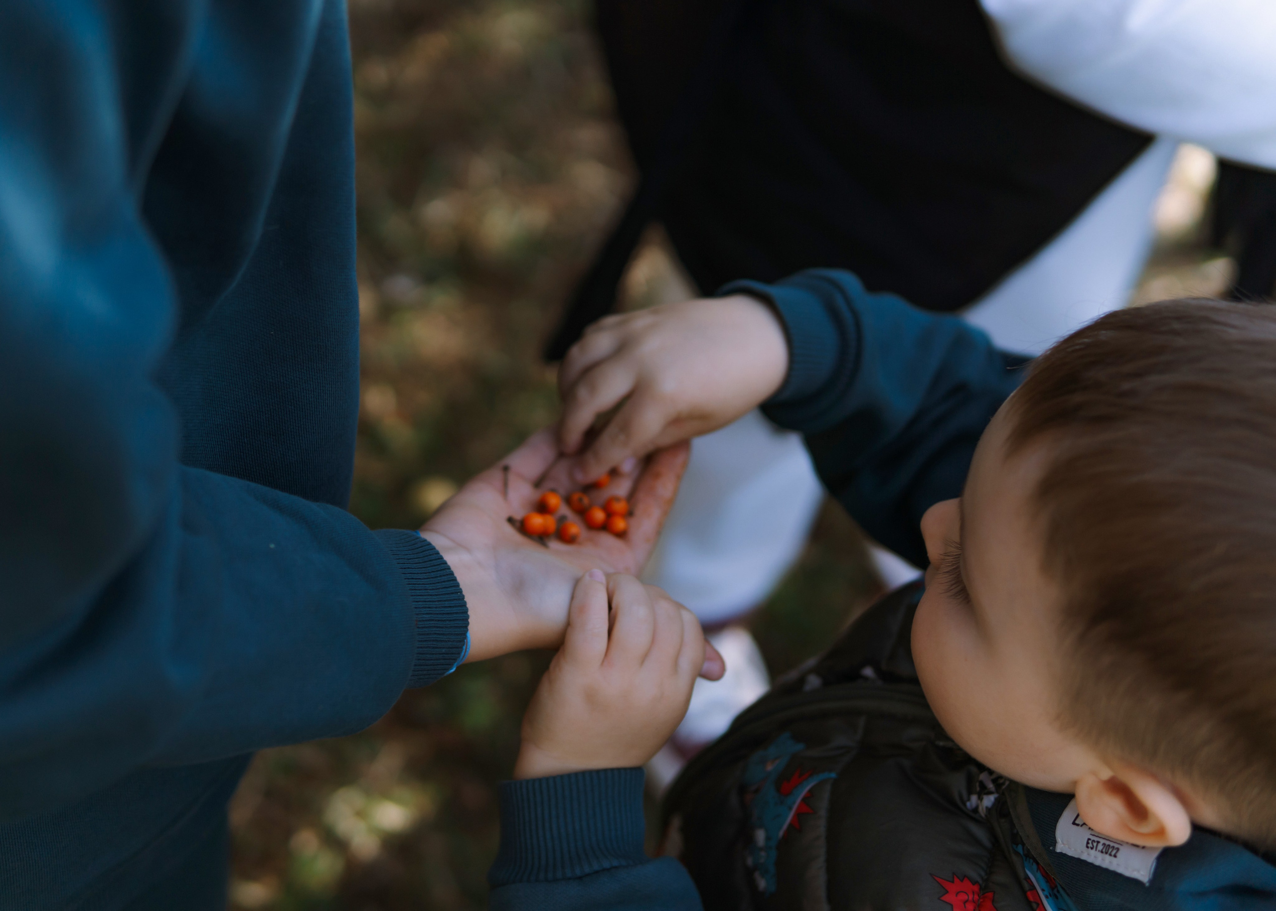 Таня, Дима, Амелия, Демид, Харлей. Фотограф в Москве Юлия Першина