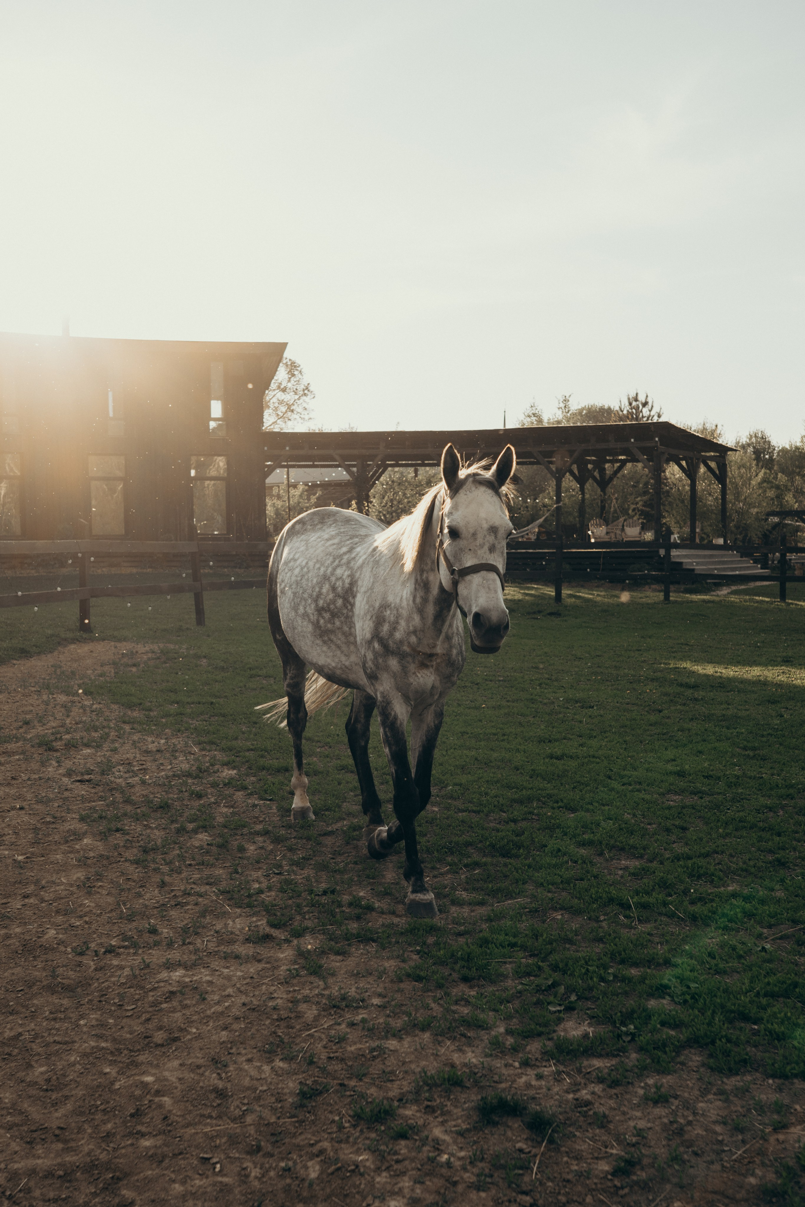 Люба, Анечка и Тёма. Сайт фотографа Светланы Еремченко