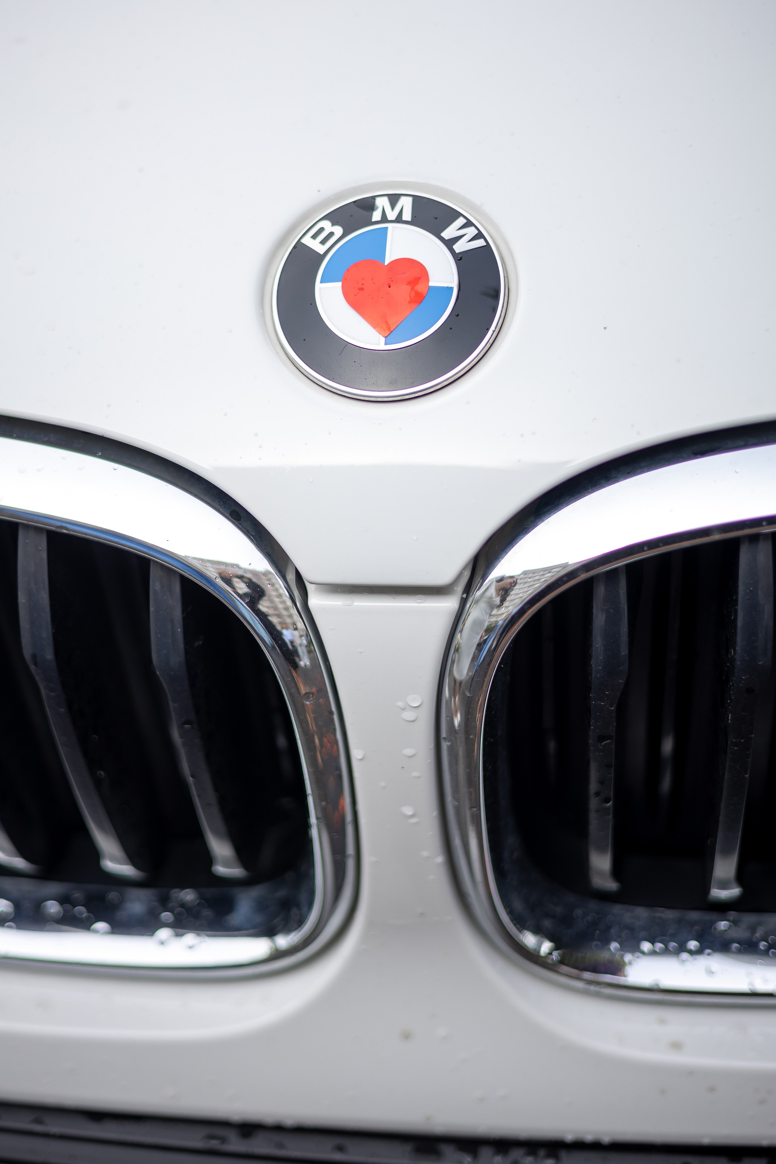 Виктор и Анна. Фотограф FOTOBANKA