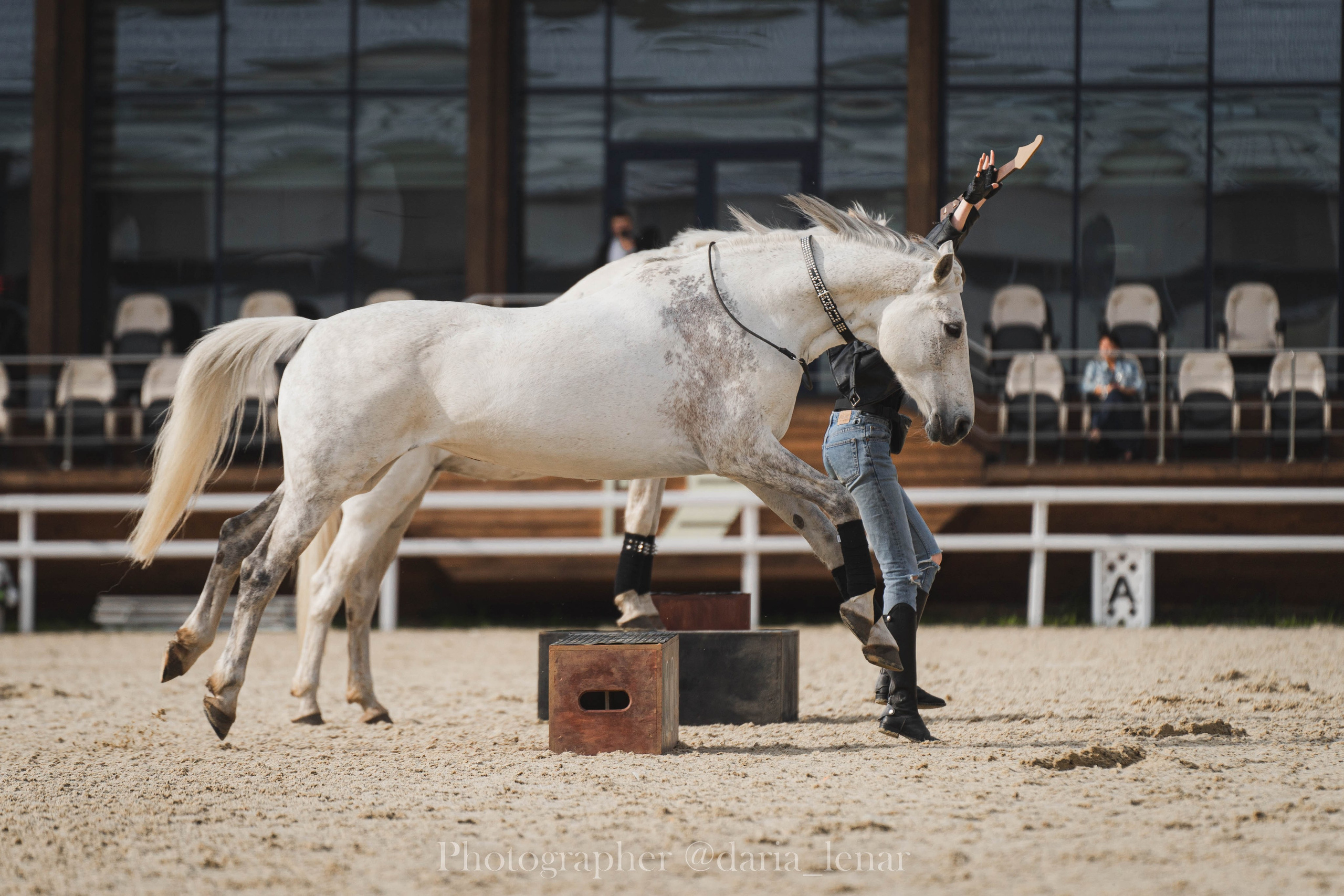 Конные фестивали и мероприятия. Фотограф в Москве Ленарская Дарья