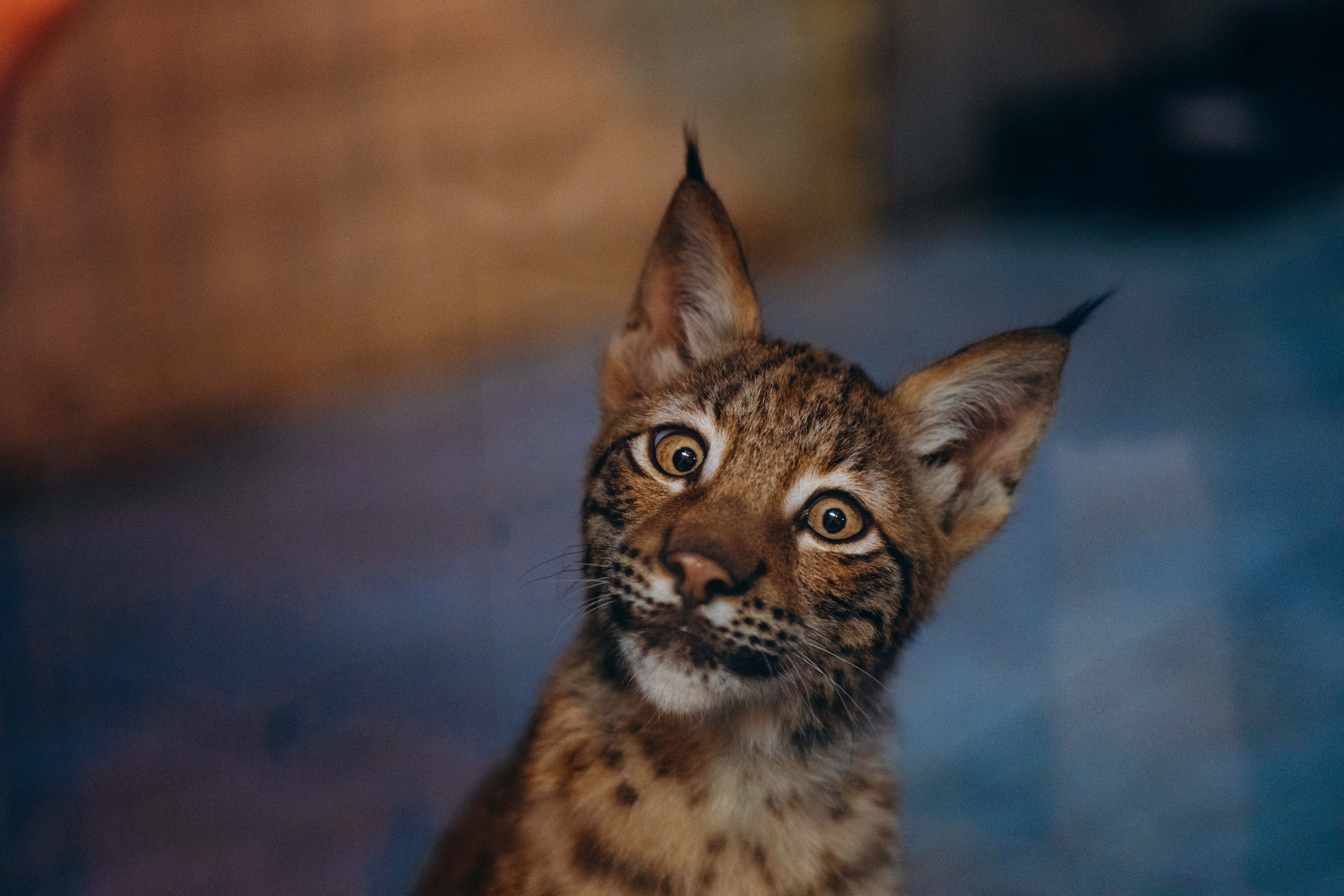 СЕВЕР. Event фотограф Степанова Александра