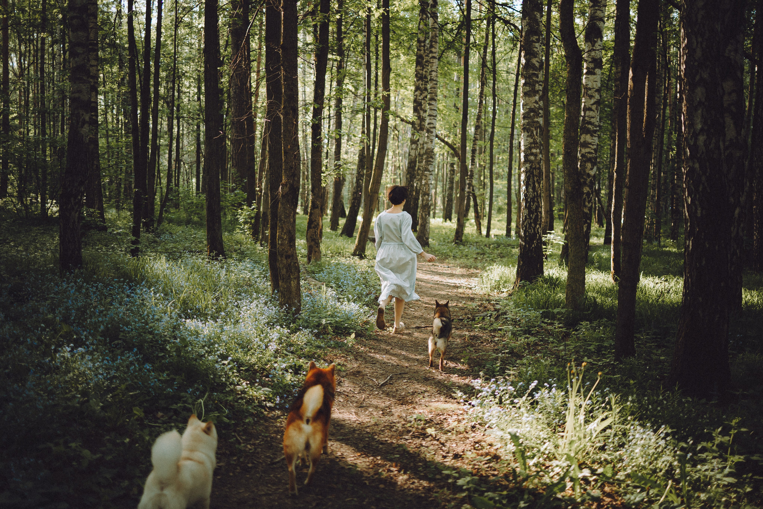 Шед, Цири, Чиби, Цера и их семья