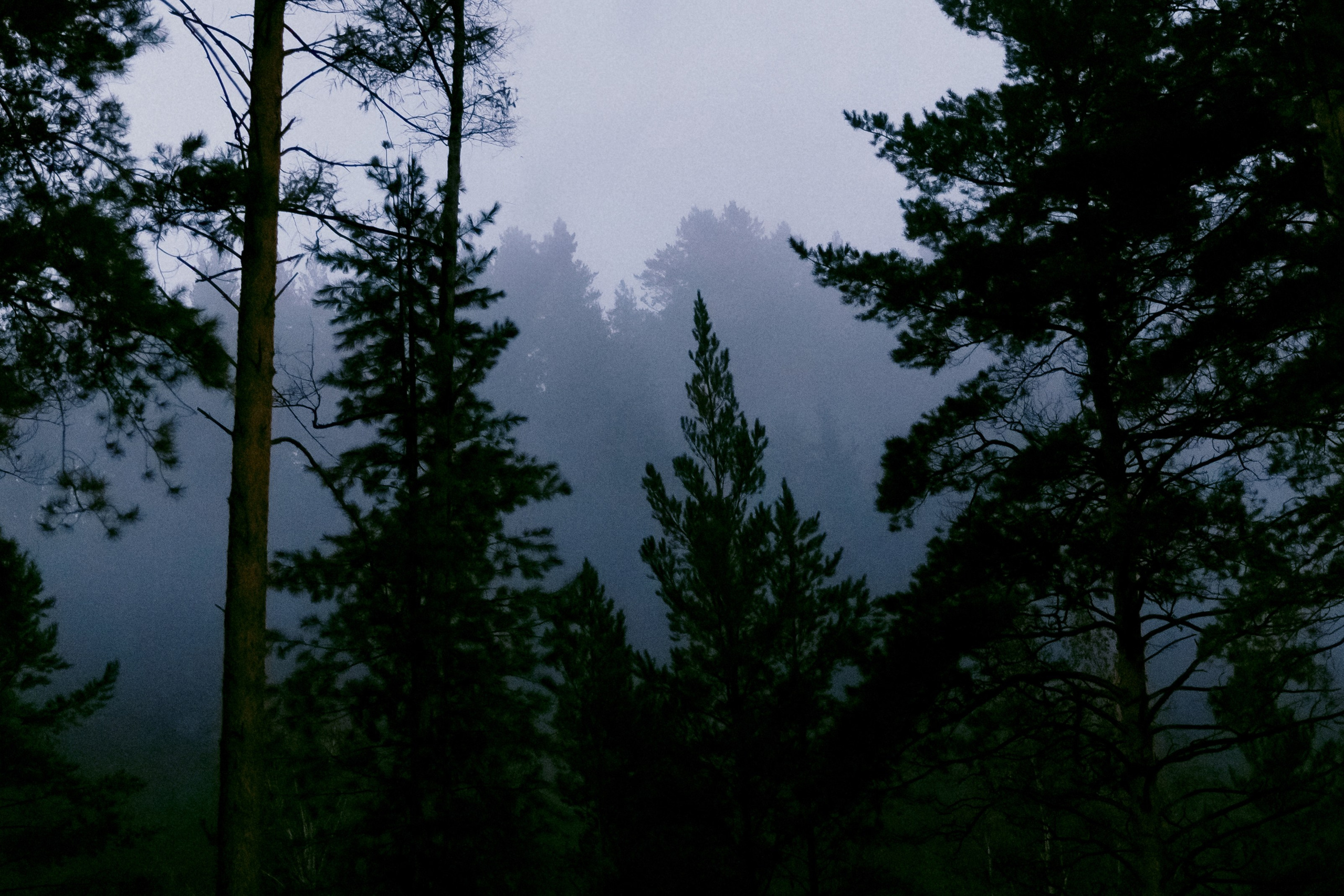 Кирилл и Аня. Фотограф Москва, Санкт-Петербург, Абакан