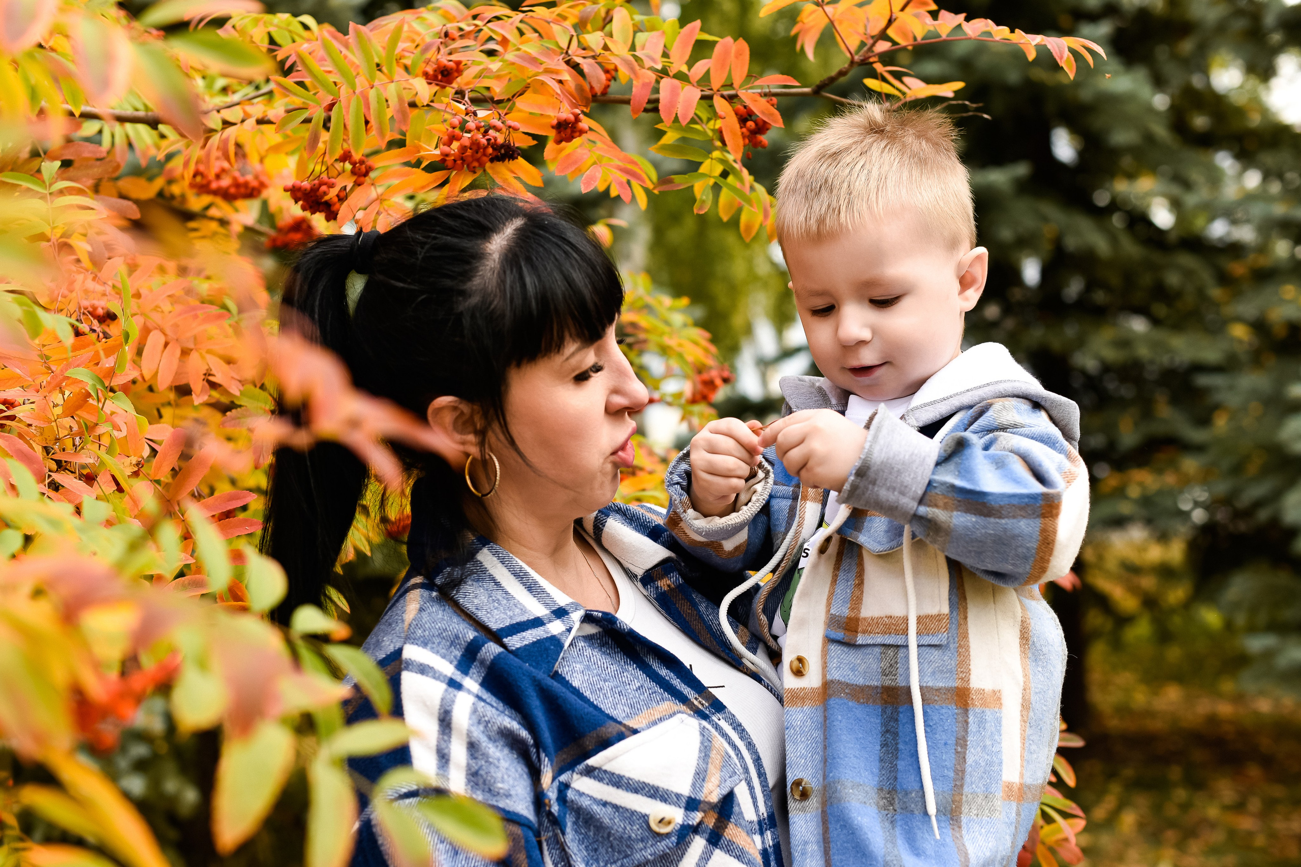 Семья Елены