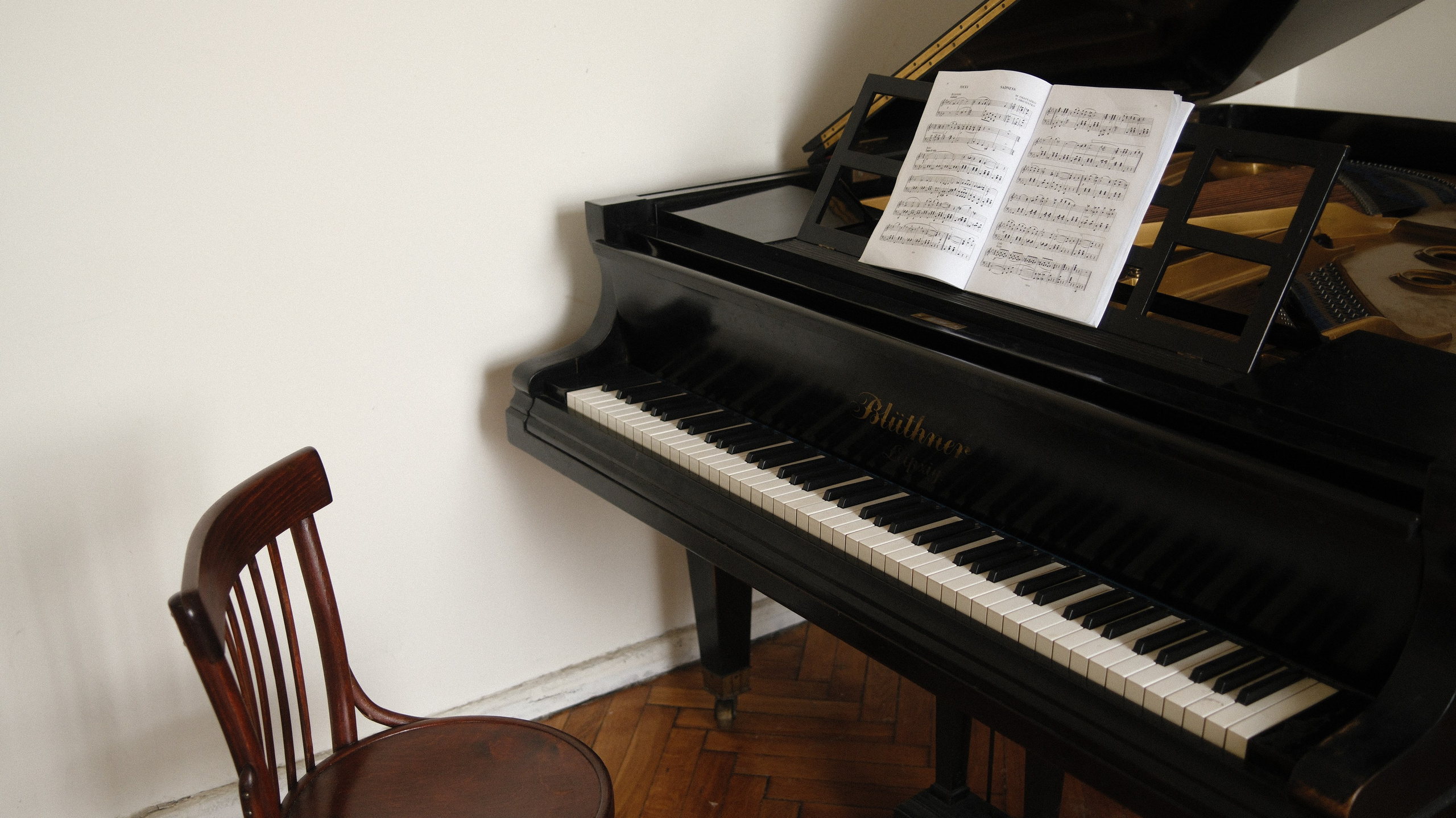 Сыграй мне!. Свадебный фотограф в Москве | Профессиональный фотограф | Выгодные цены на услуги