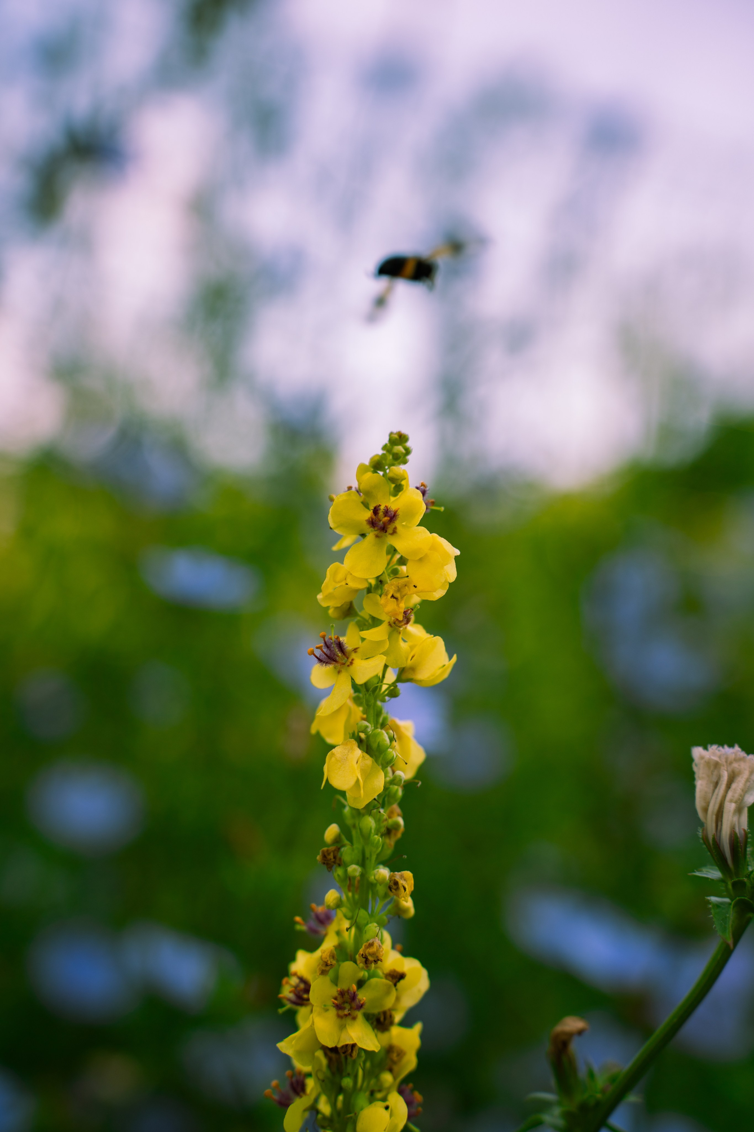 ATMOSPHERE. Фотограф Юрина Ксения Москва