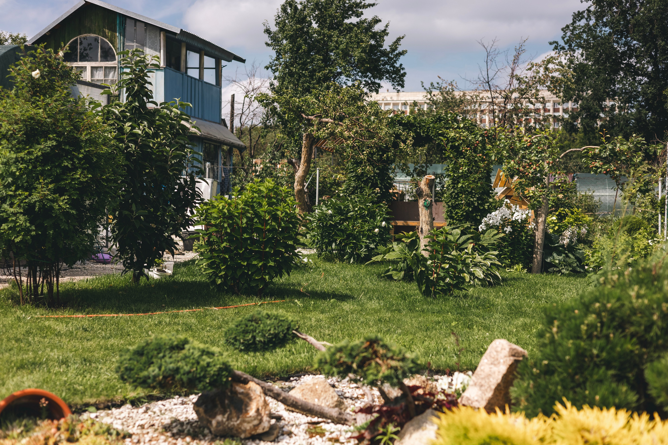 Любовь Георгиевна Пономарева. Садовод и ландшафтный дизайнер. Репортажный фотограф Наталья Лапцевич