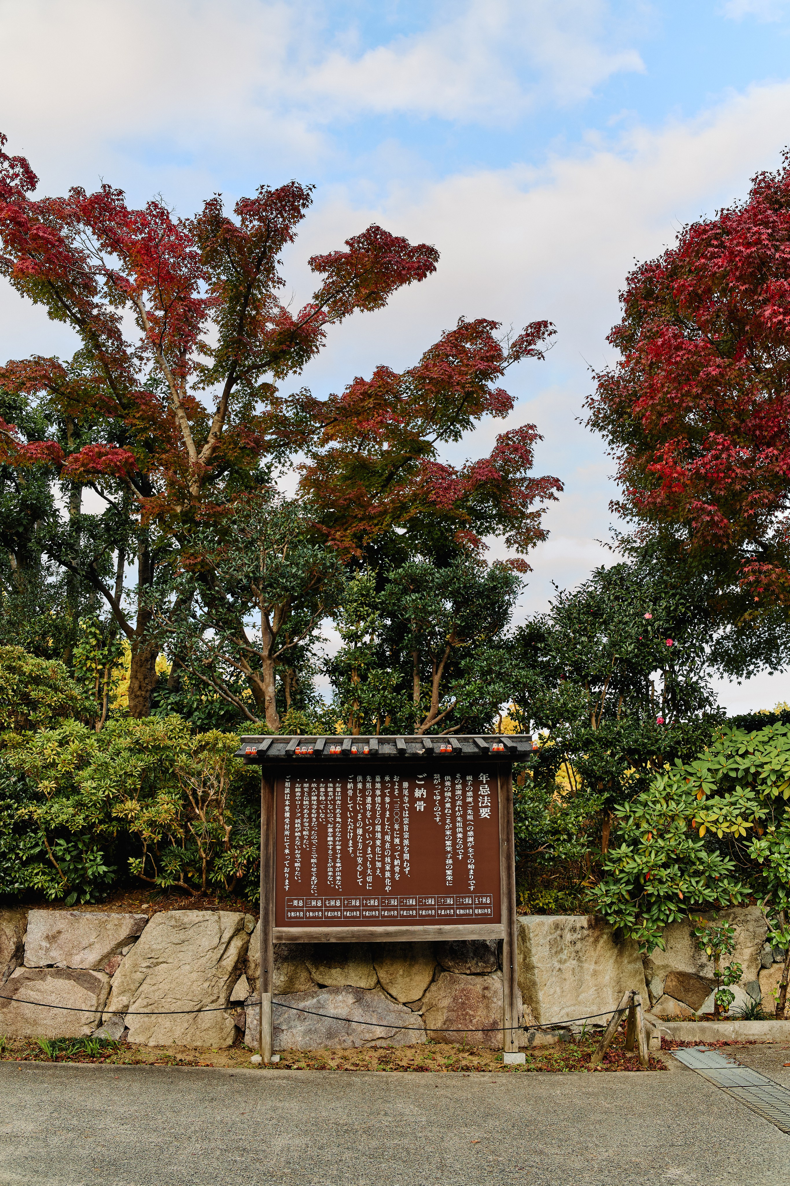 Япония. Профессиональный Фотограф во Владимире, в Москве и в Суздале — Полина Романычева