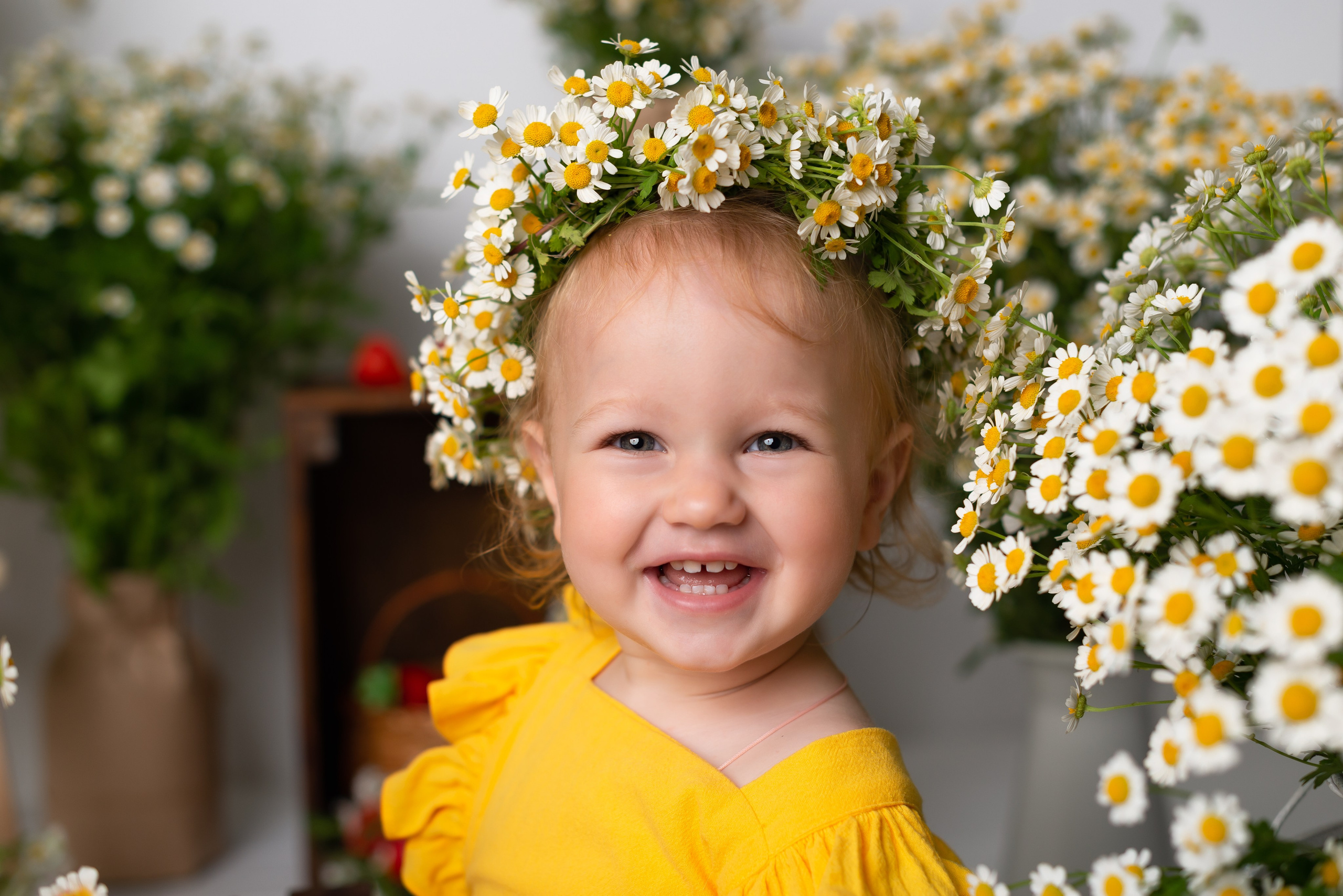 Фотостудия для малышей Краснодар. Детская фотостудия «Мандаринка» | Детский фотограф Краснодар