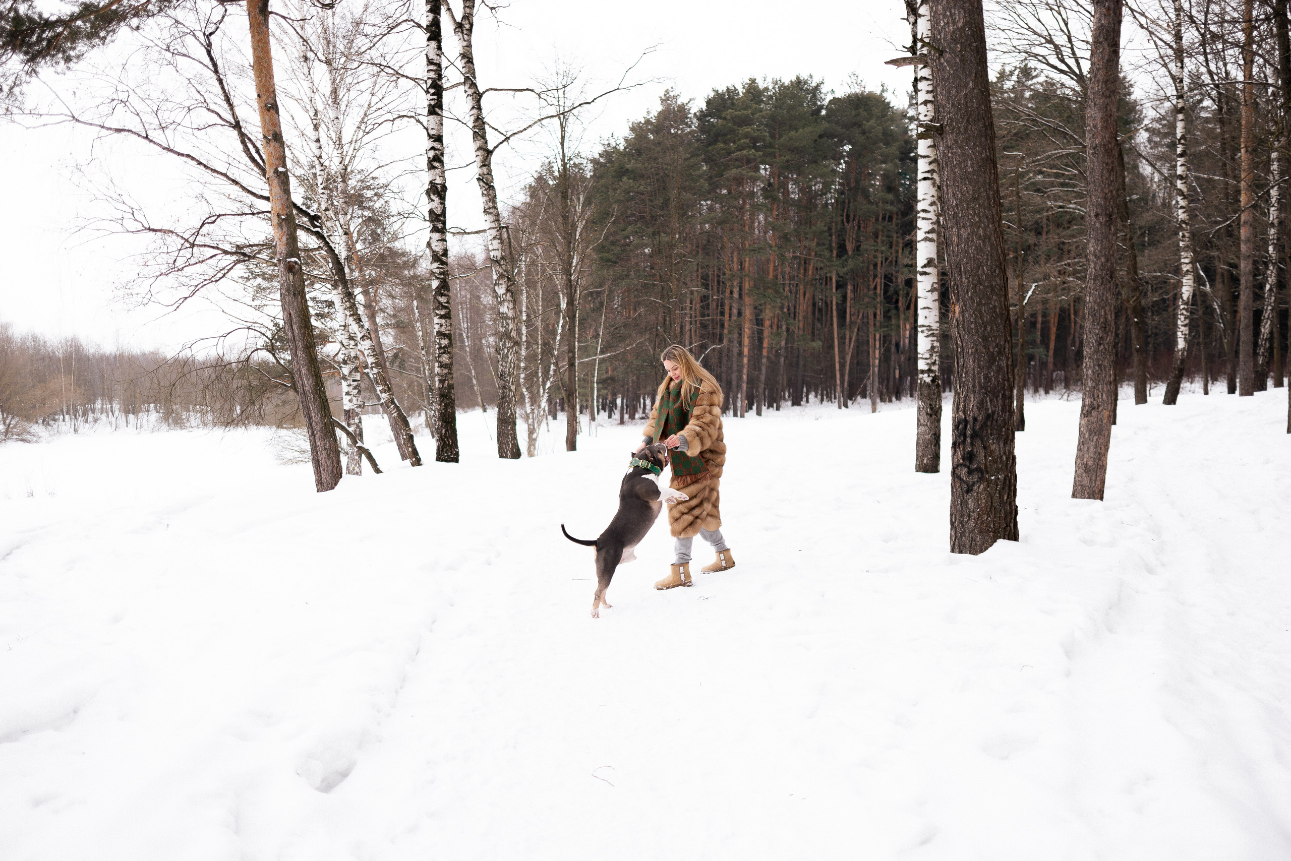 Лера и Наган. Фотограф и видеограф анималист Аганина Дарья