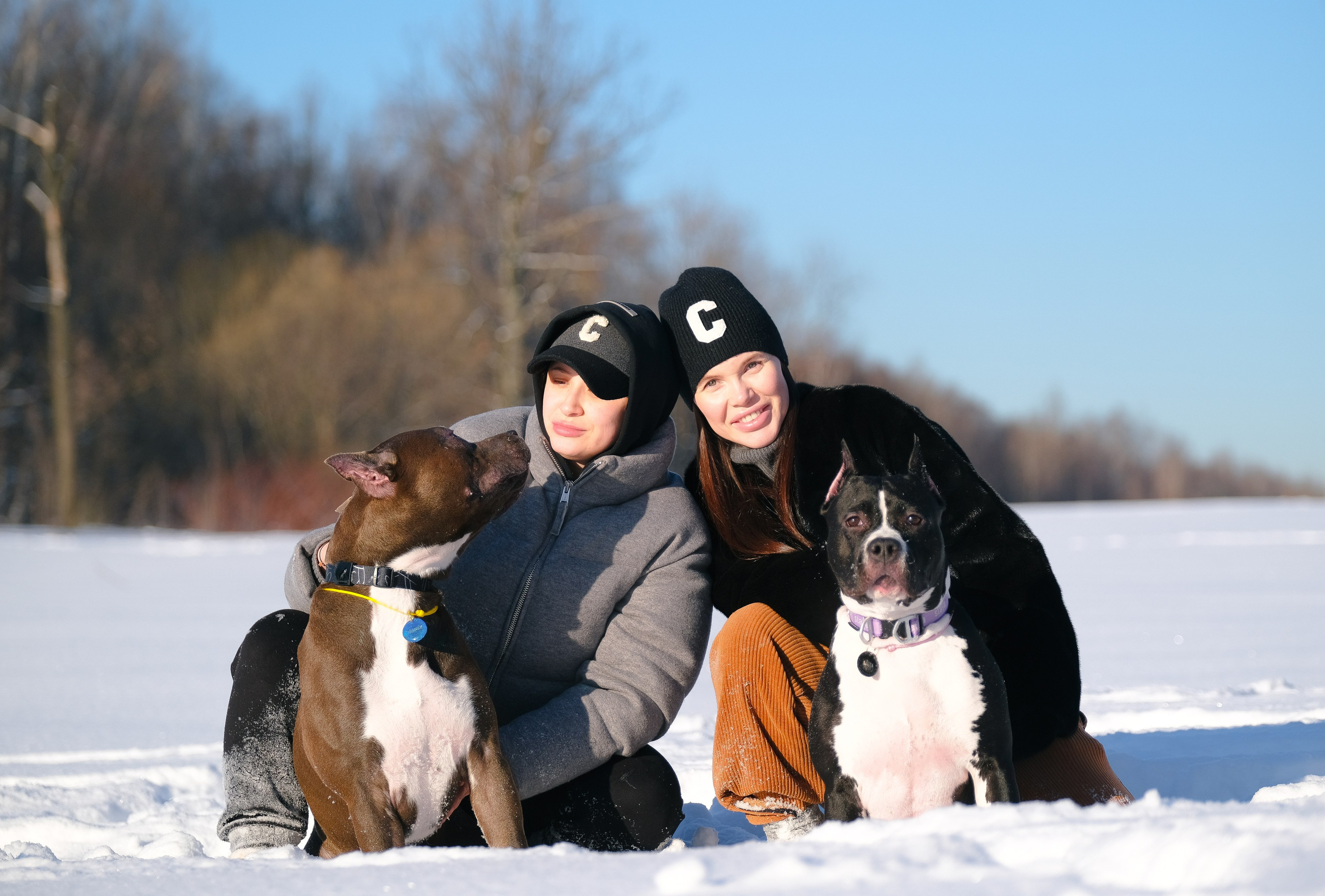 Баста и Эйгон. Фотограф и видеограф анималист Аганина Дарья