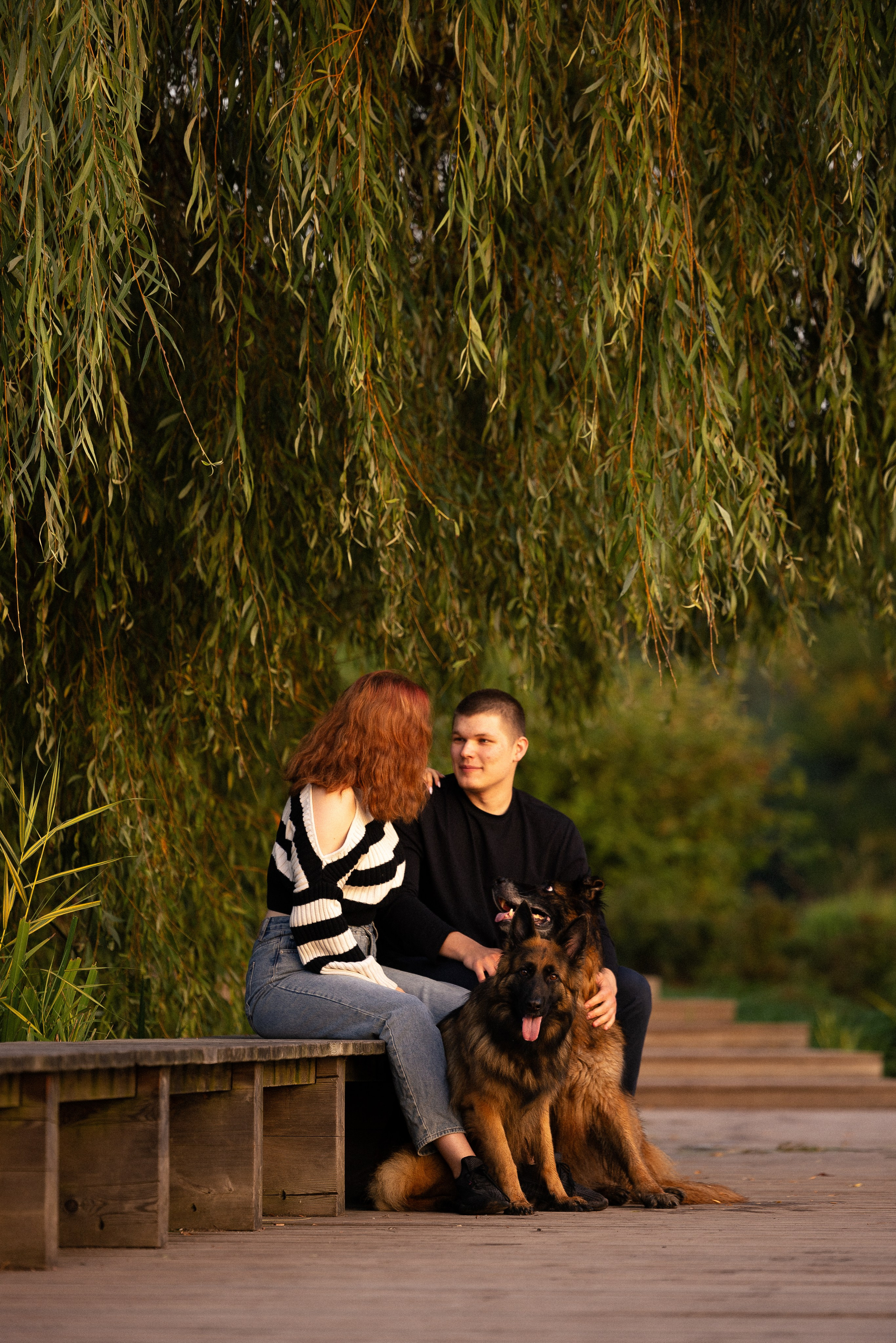 Алена, Матвей, Фанни и Фрея. Фотограф и видеограф анималист Аганина Дарья