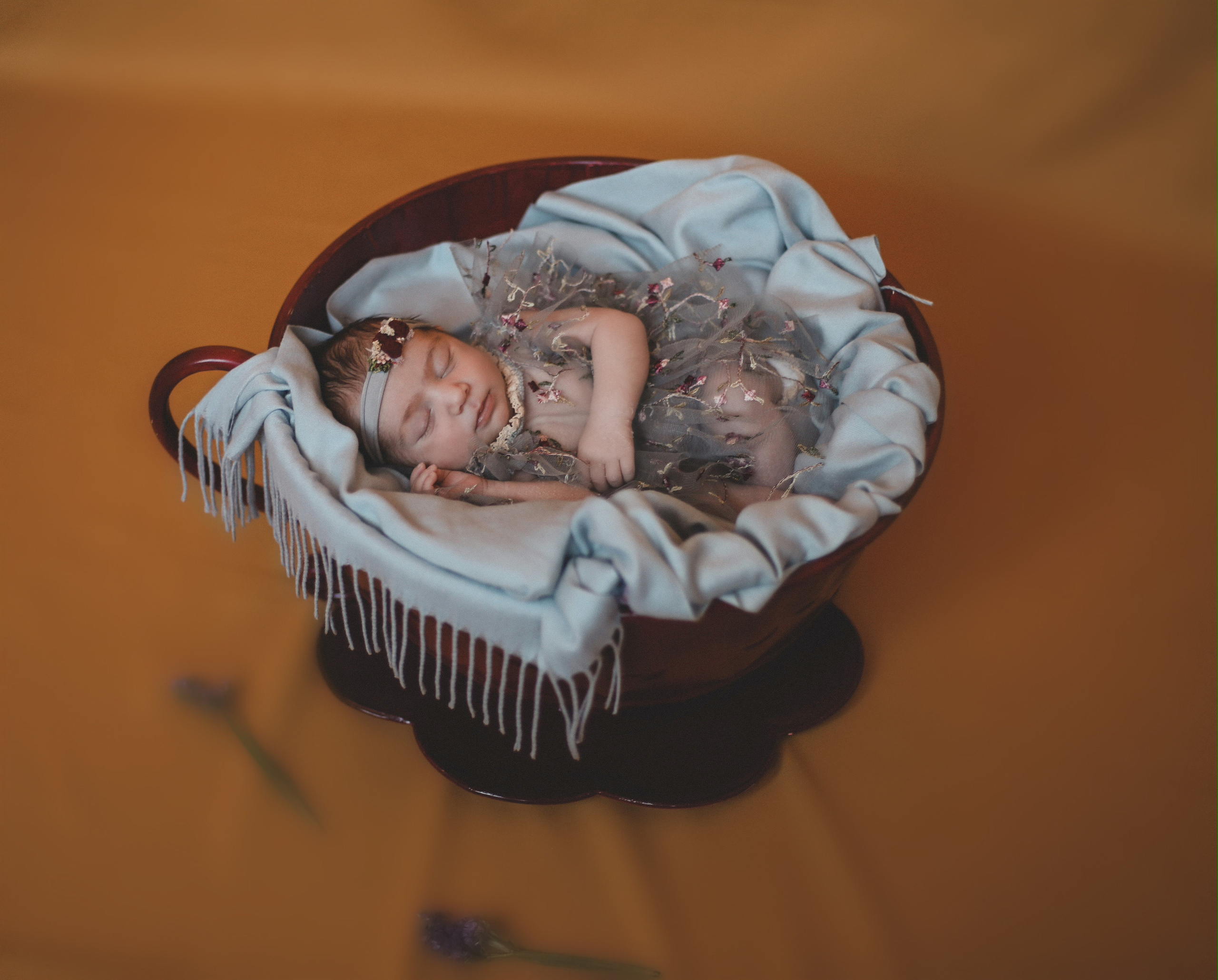 Сюзанна. Фотограф и Видеограф в Санкт-Петербурге Алиса Шандрик