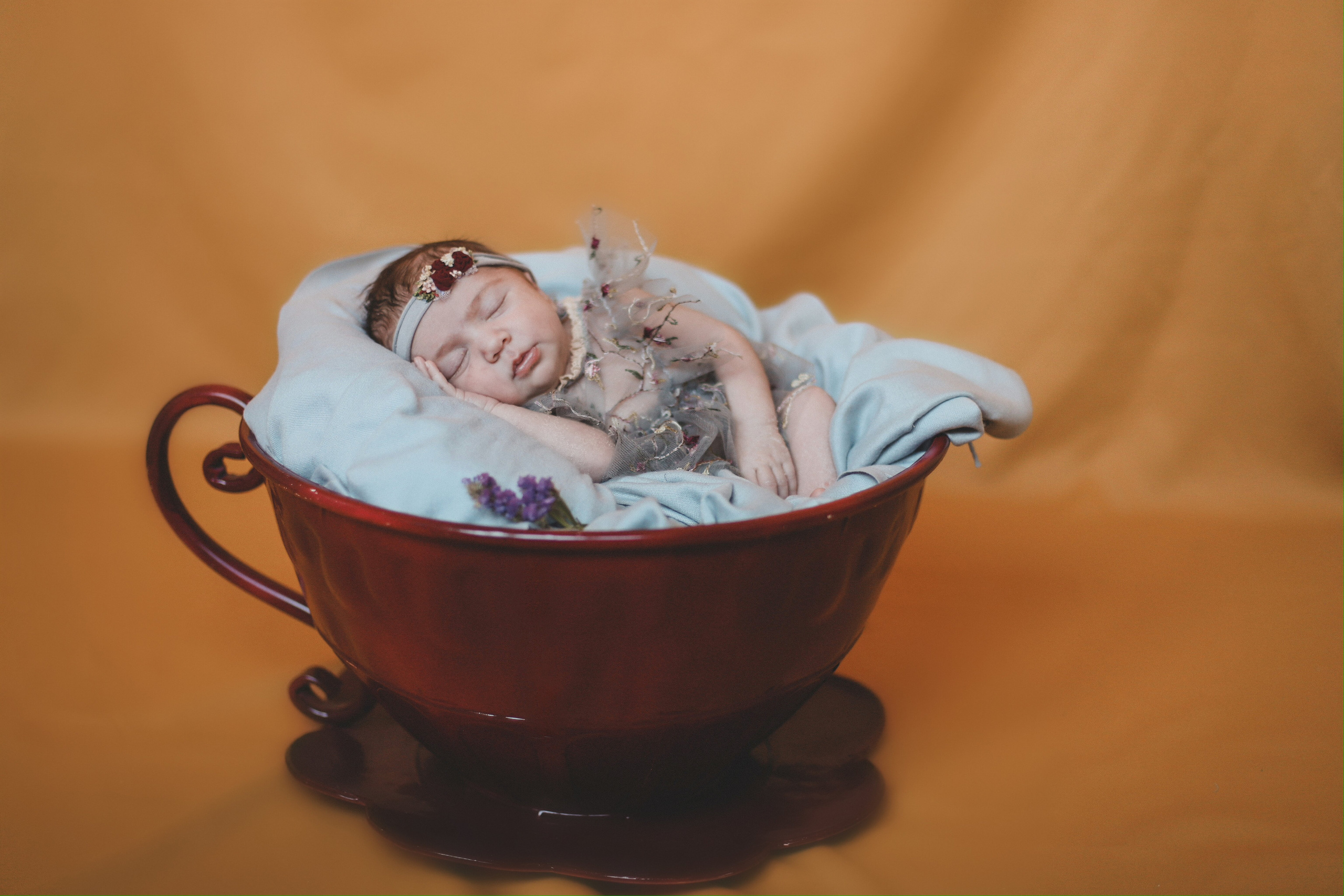 Сюзанна. Фотограф и Видеограф в Санкт-Петербурге Алиса Шандрик