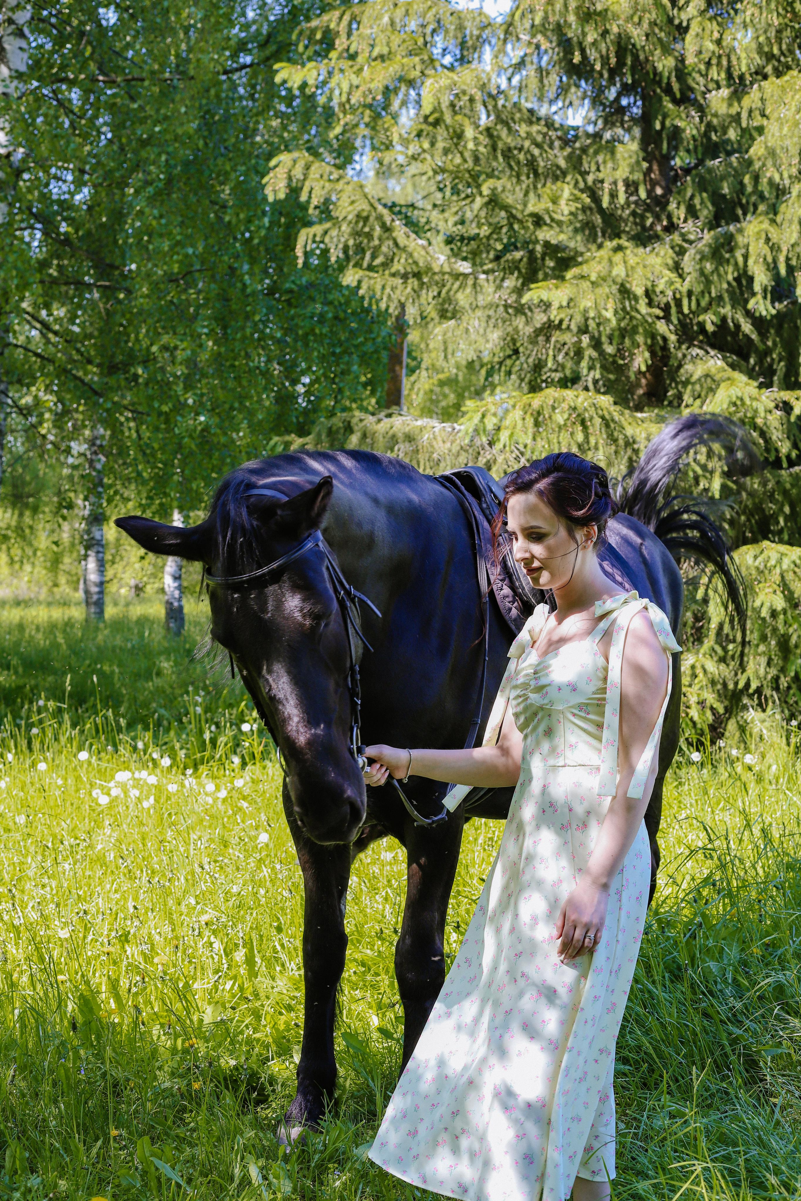Старая Ладога с лошадью Катя и Сергей. Фотограф и Видеограф в Санкт-Петербурге Алиса Шандрик