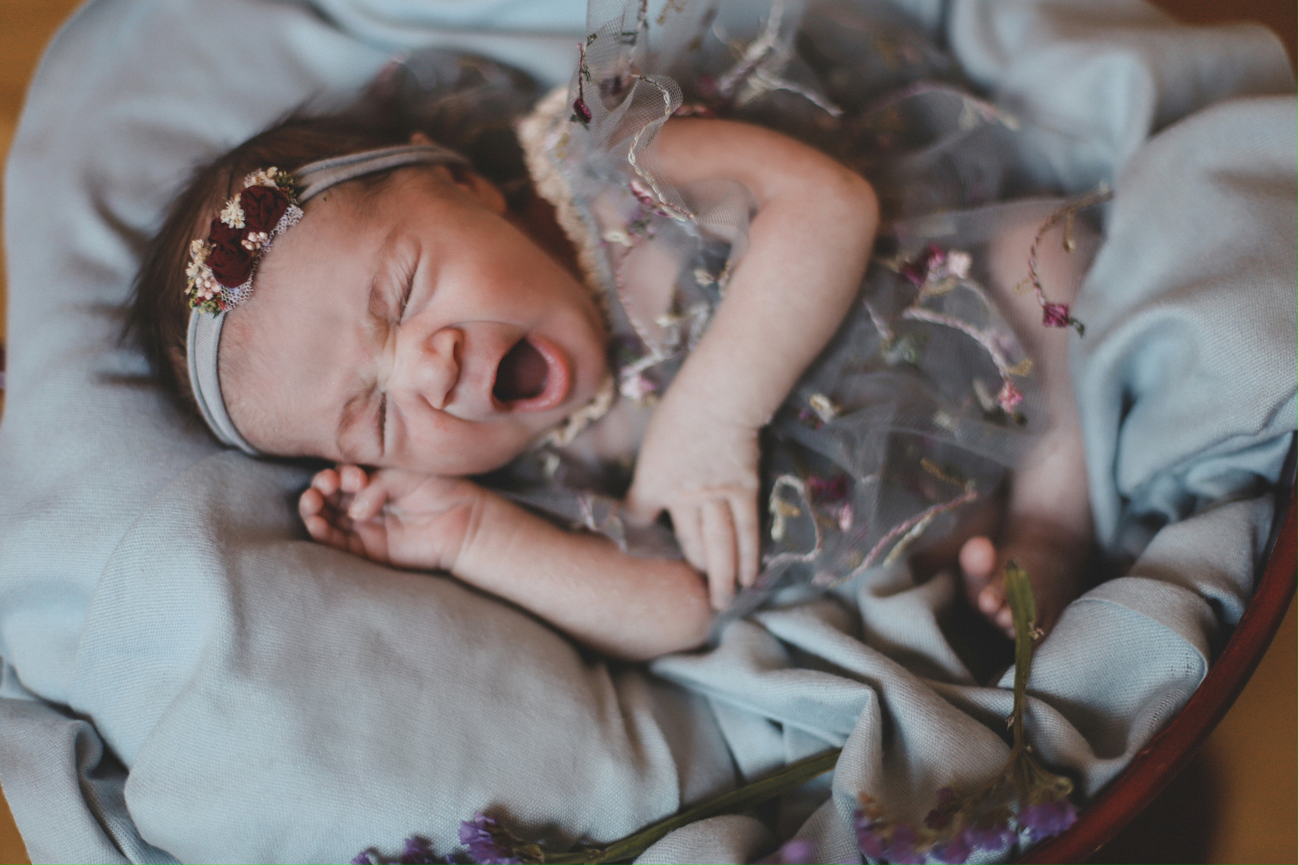 Сюзанна. Фотограф и Видеограф в Санкт-Петербурге Алиса Шандрик