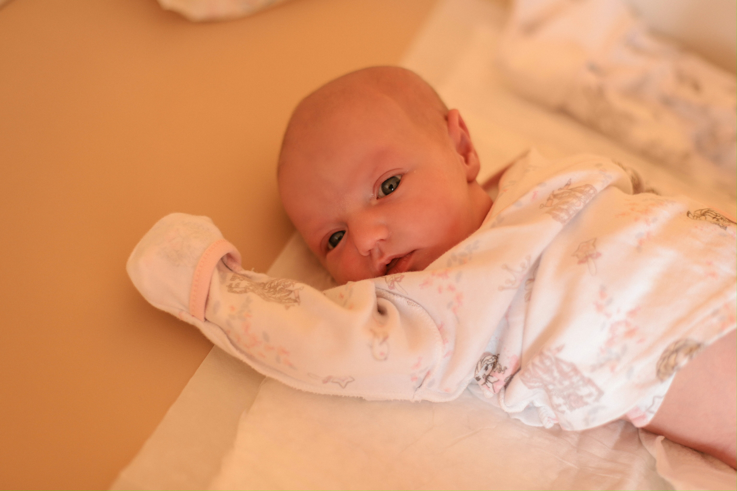 Сияна. Фотограф и Видеограф в Санкт-Петербурге Алиса Шандрик