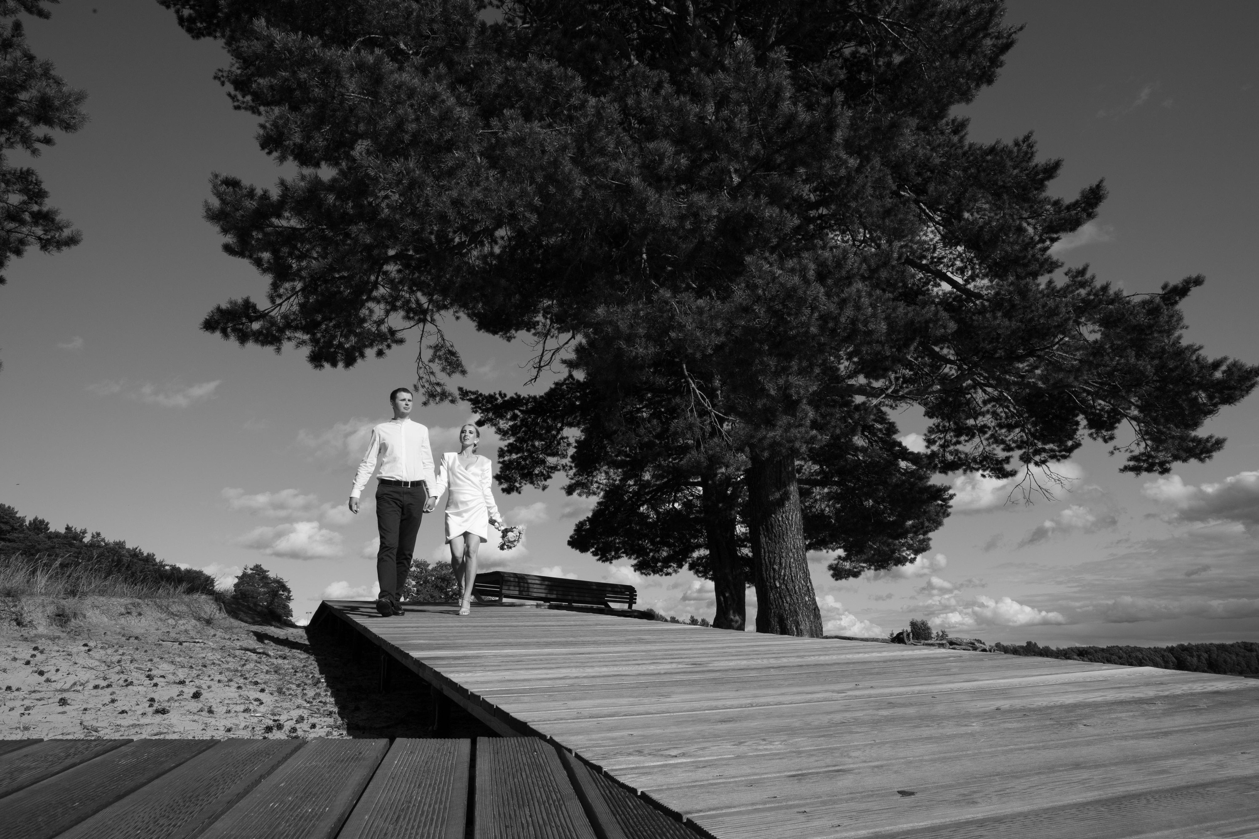 Ксения и Максим. Фотограф и Видеограф в Санкт-Петербурге Алиса Шандрик