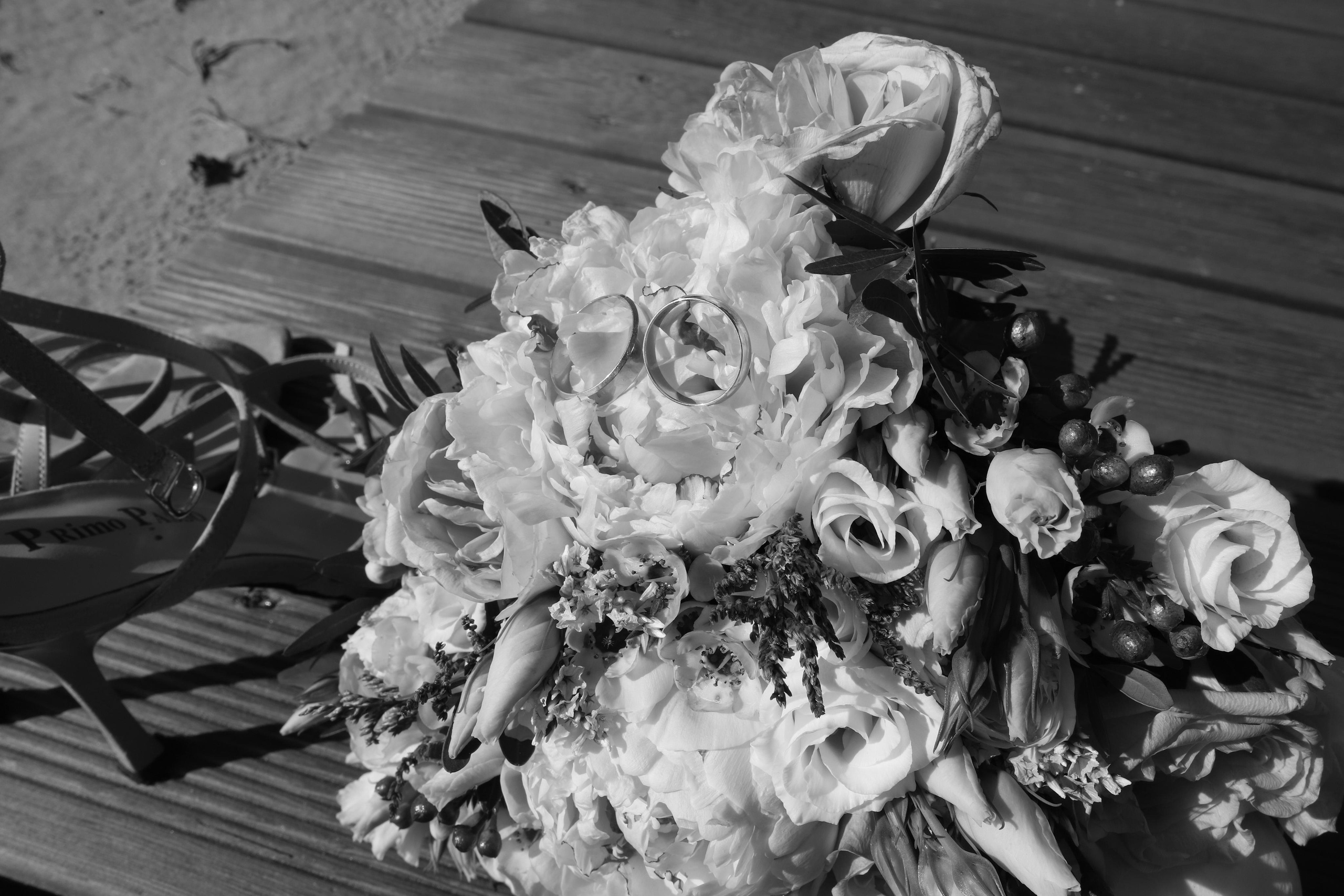 Ксения и Максим. Фотограф и Видеограф в Санкт-Петербурге Алиса Шандрик