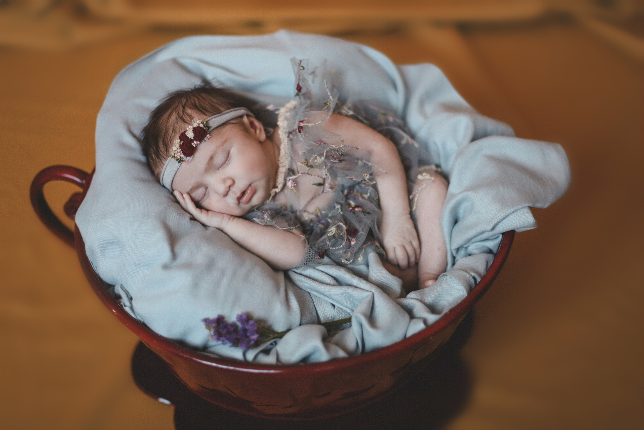 Сюзанна. Фотограф и Видеограф в Санкт-Петербурге Алиса Шандрик