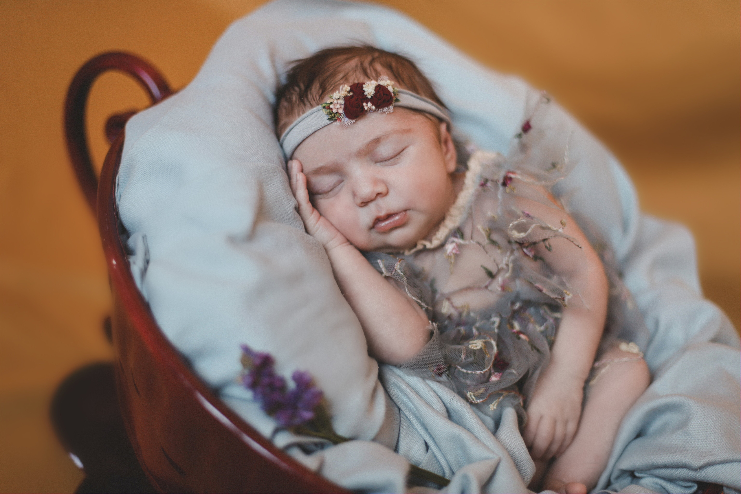 Сюзанна. Фотограф и Видеограф в Санкт-Петербурге Алиса Шандрик