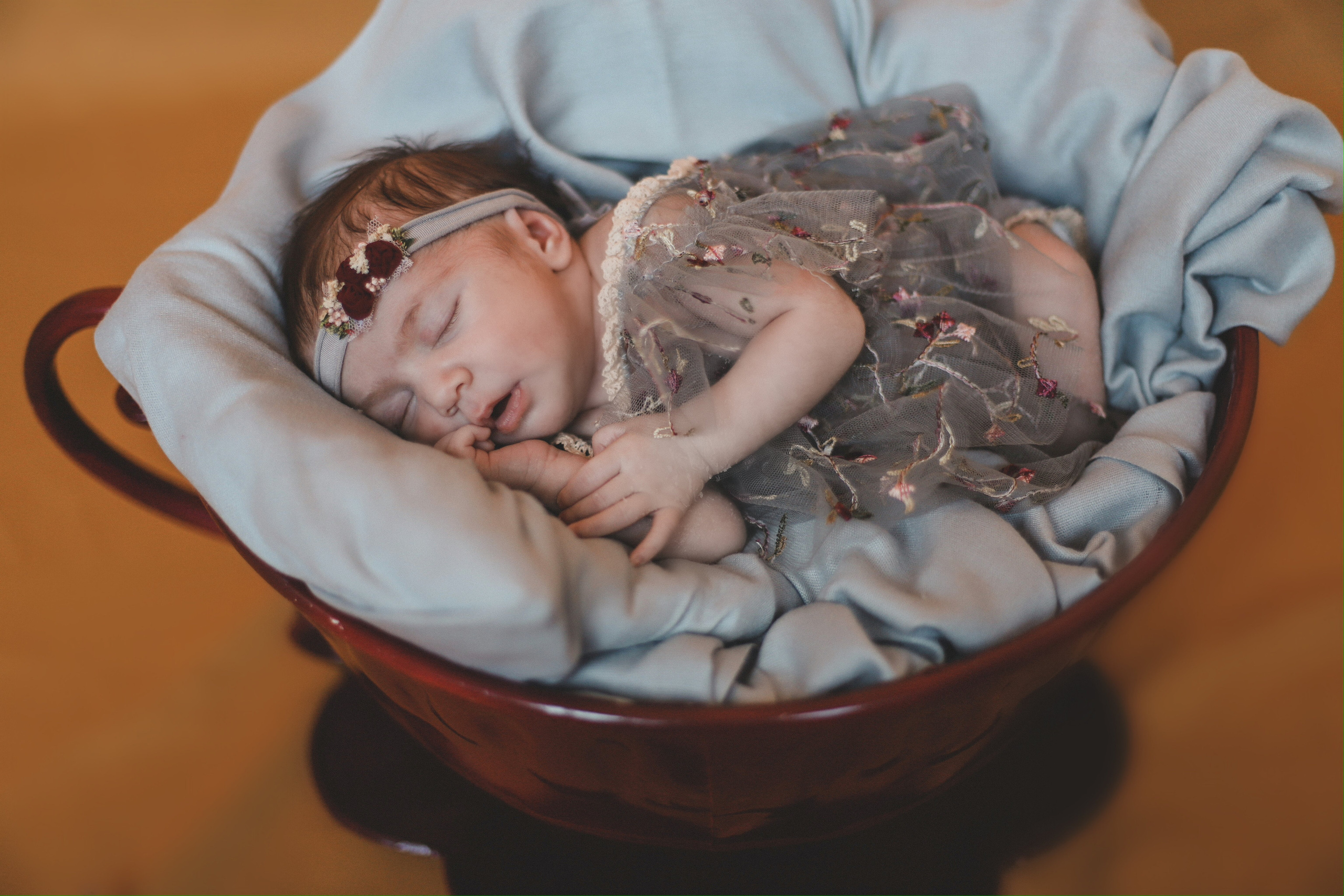 Сюзанна. Фотограф и Видеограф в Санкт-Петербурге Алиса Шандрик