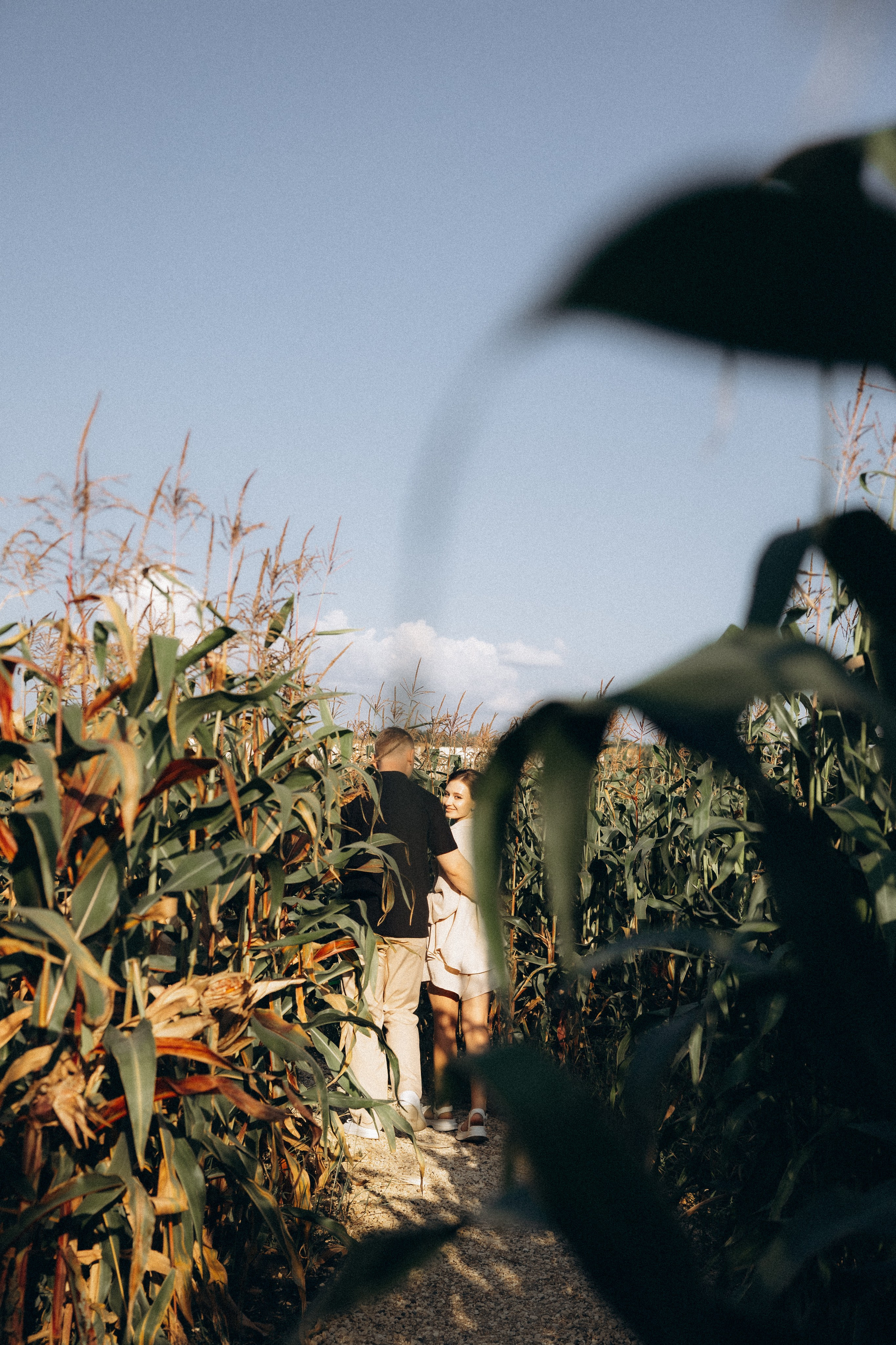 Анастасия и Алексей. Алена Бадамшина — свадебный фотограф Воронеж / Москва