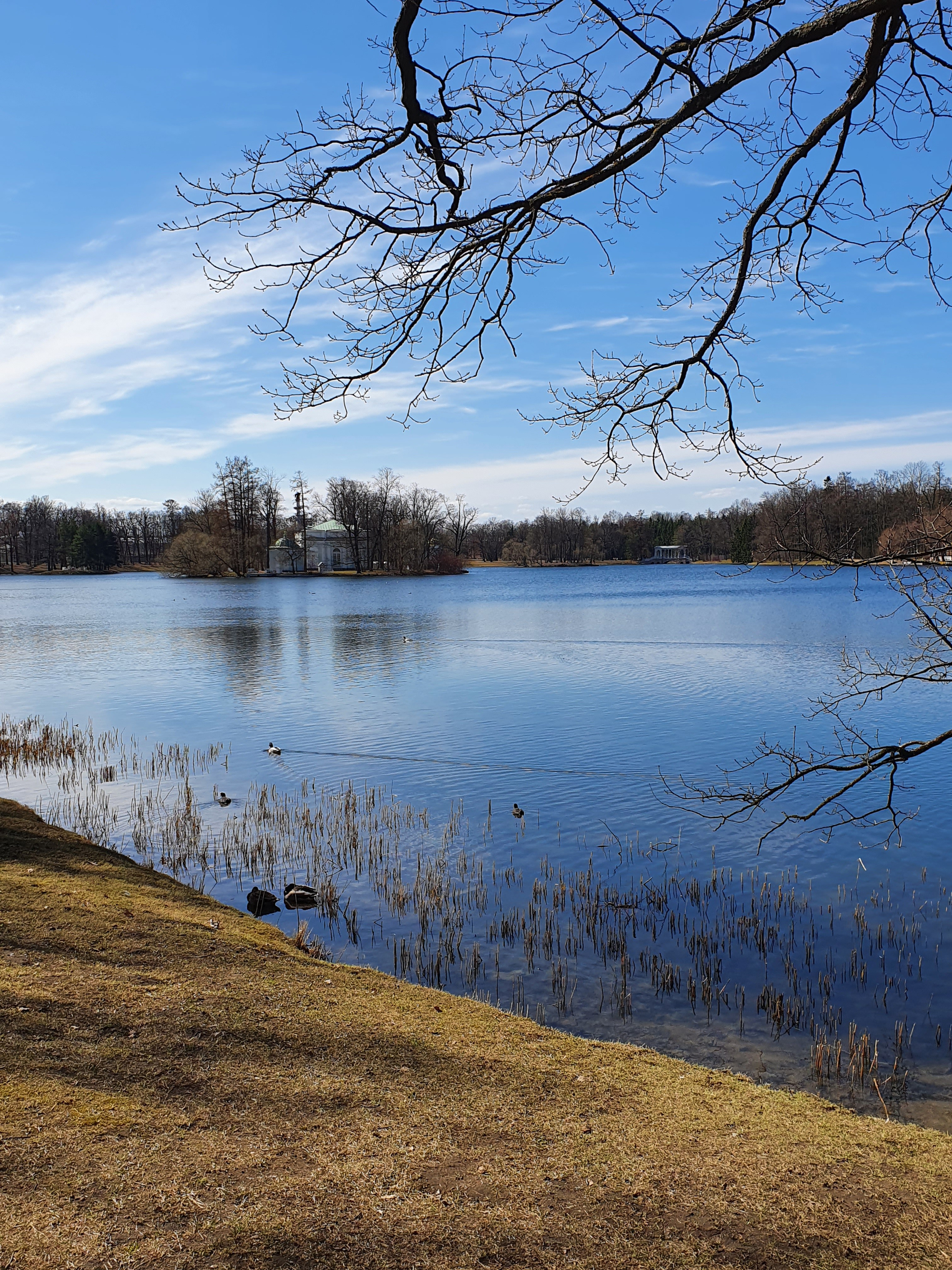 Интересные фотографии с мобильного телефона. Фотограф в Москве и Подмосковье, Николай Сорокин