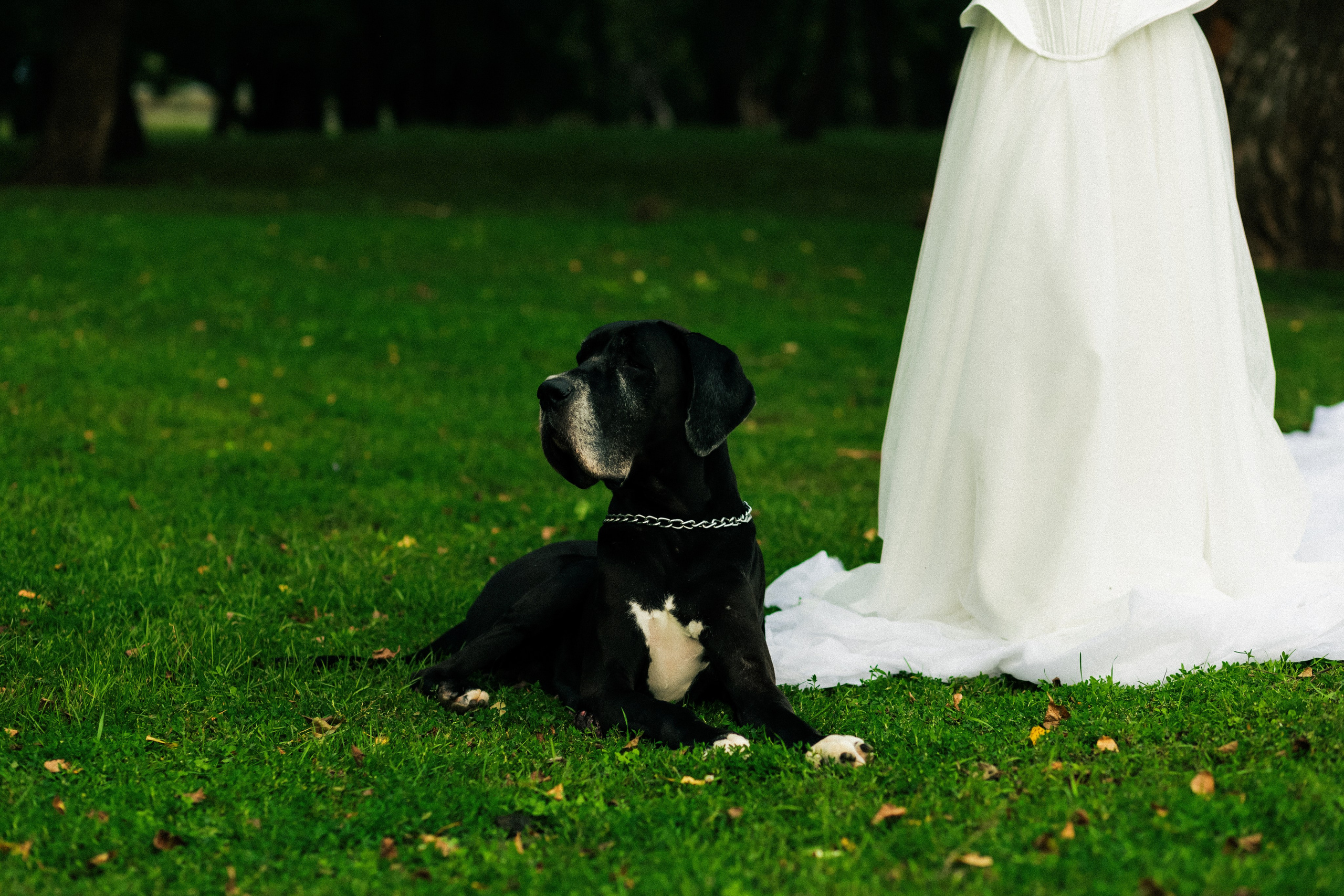 Sveta & Dakota. Индивидуальный фотограф в Оренбурге Кристина Студеникина