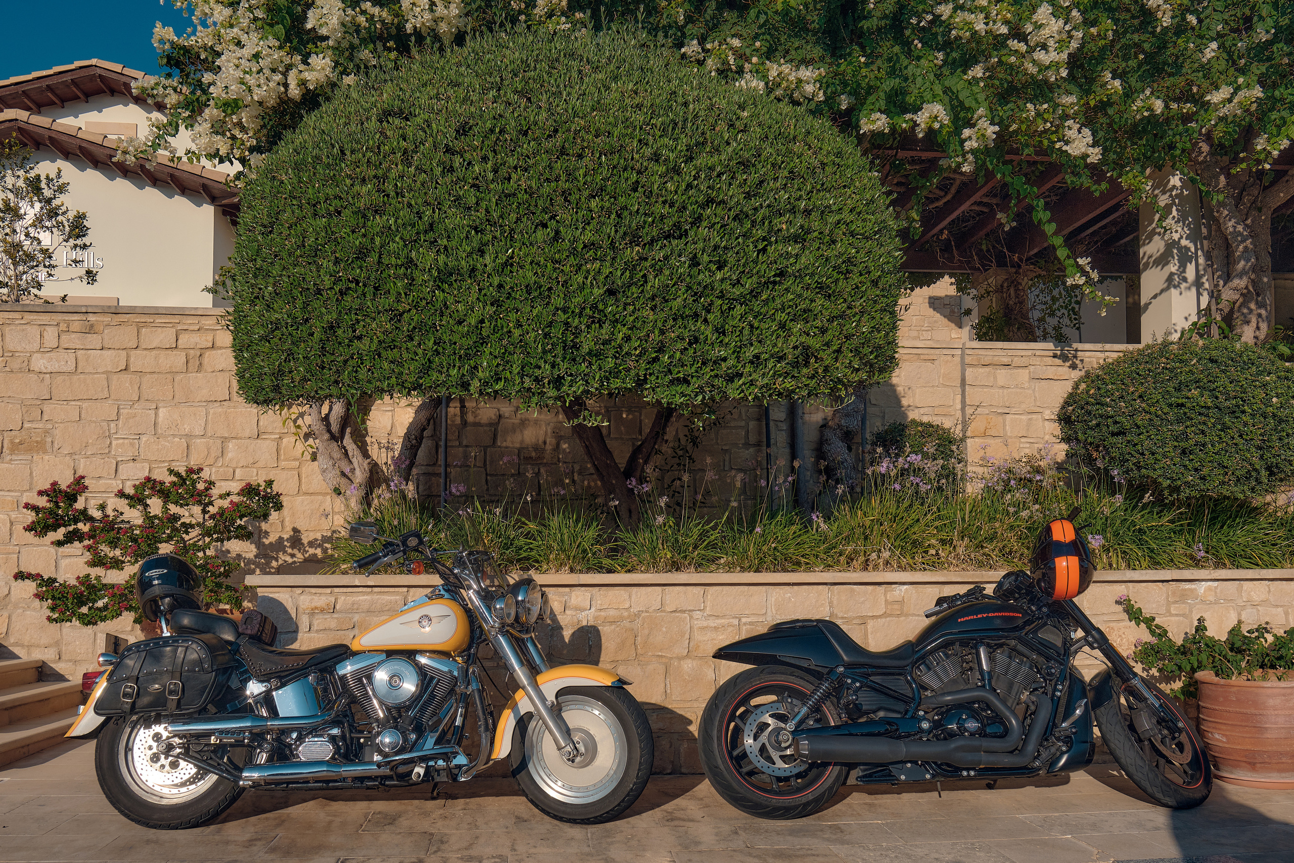 CYPRUS > 2022\1. Aleksandr Kobtsev