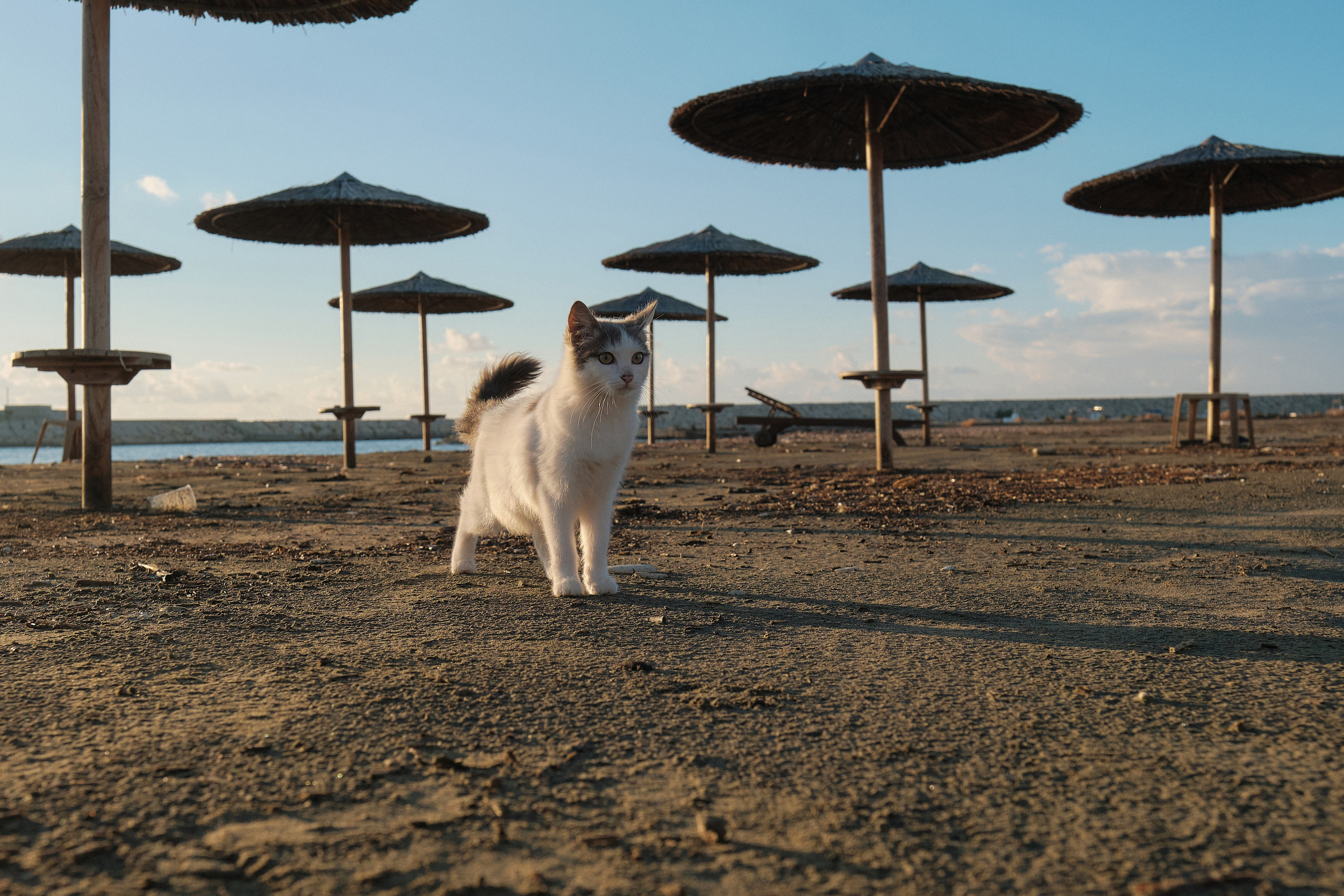 CYPRUS > > 2022\2. Aleksandr Kobtsev