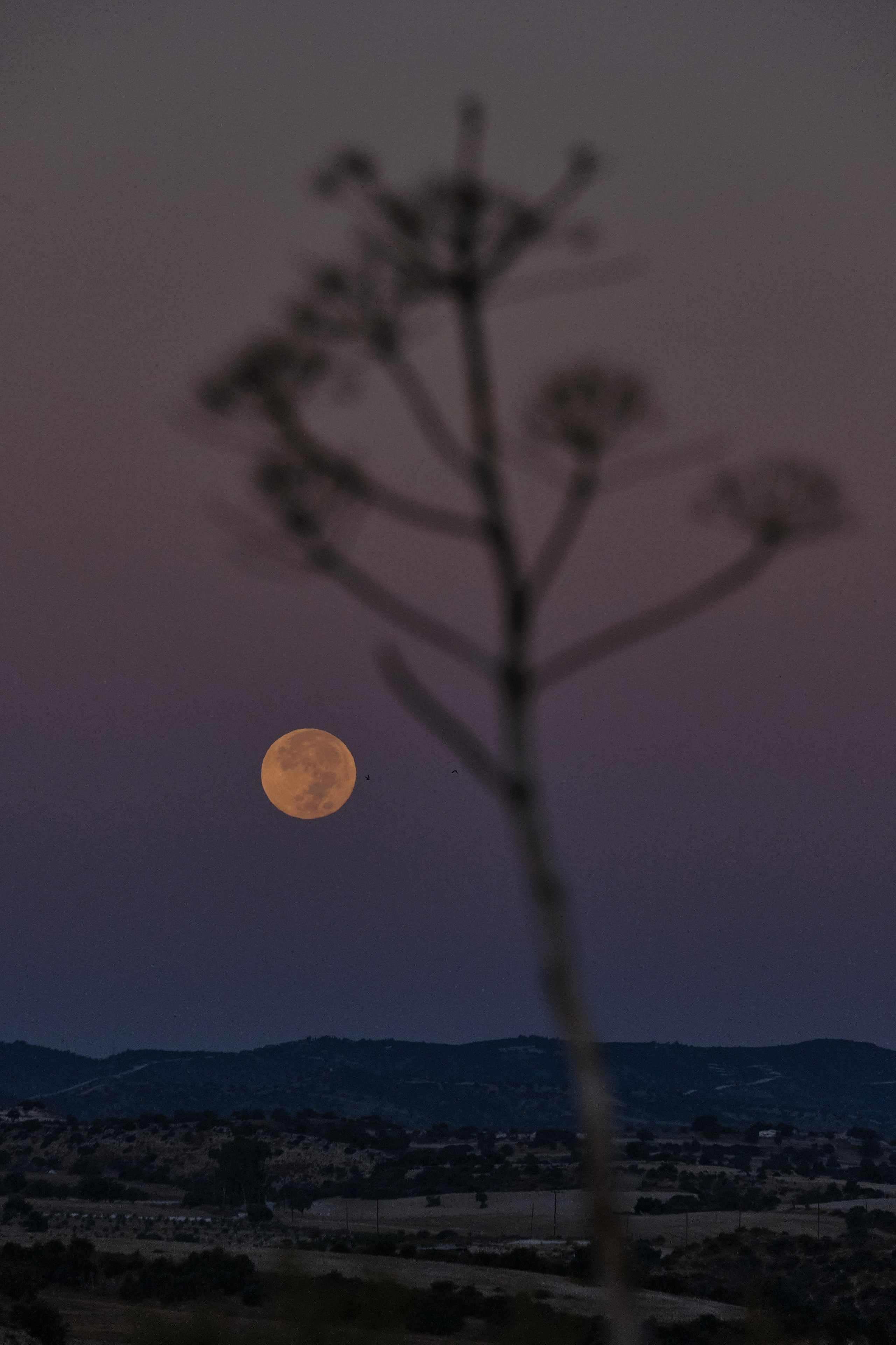 CYPRUS > 2022\1. Aleksandr Kobtsev