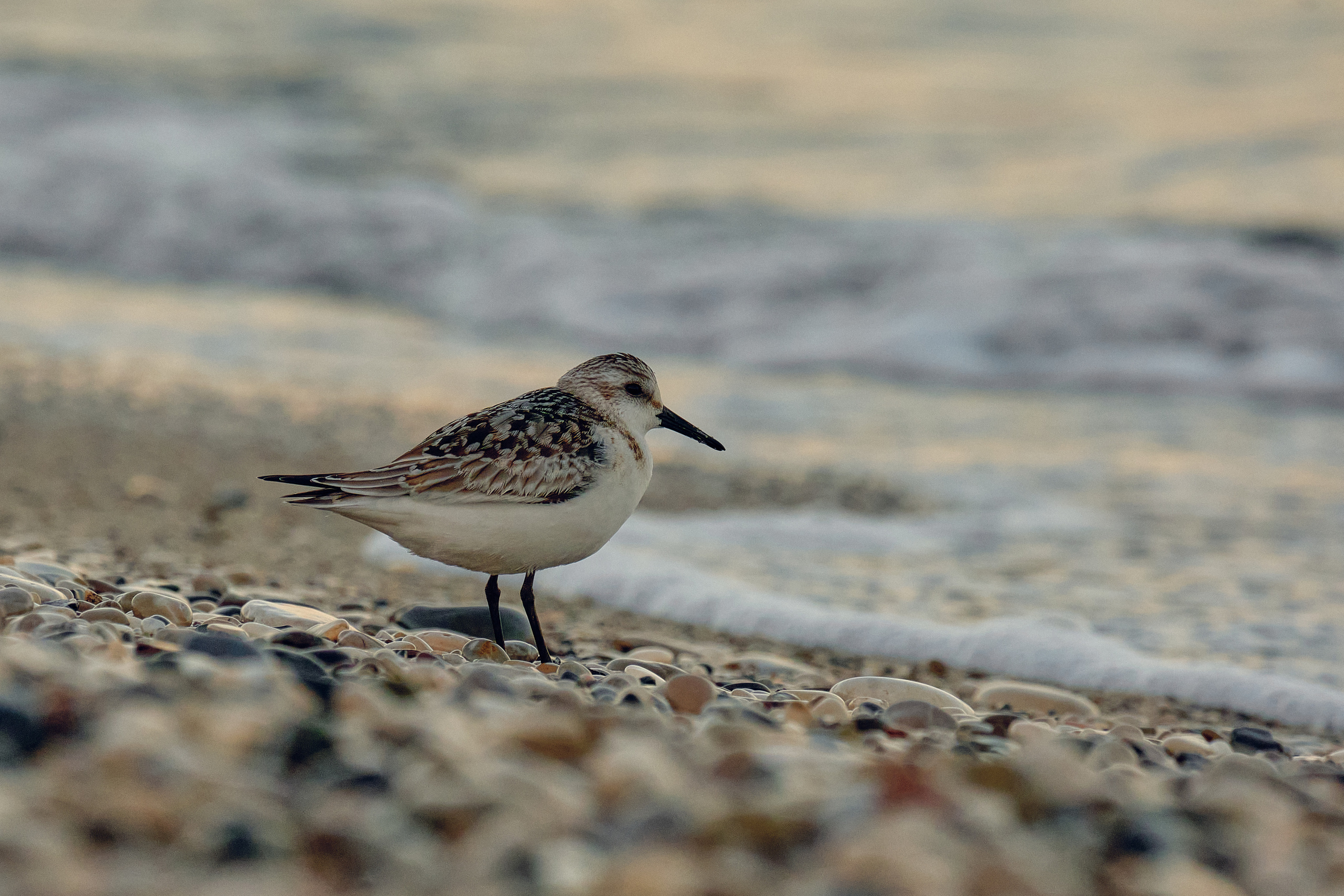 Antalya / Kash / Oludeniz. Aleksandr Kobtsev