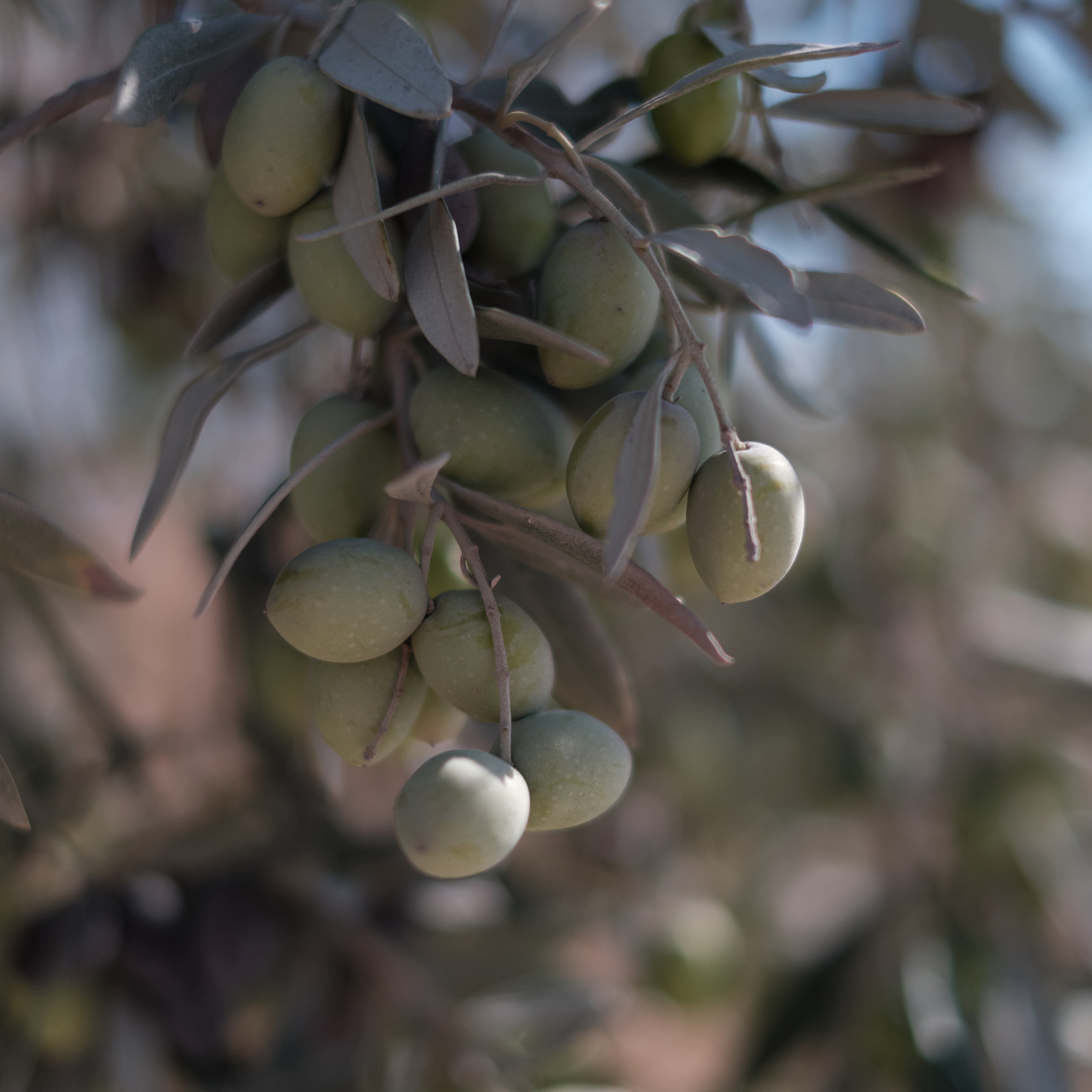 CYPRUS > 2022\1. Aleksandr Kobtsev