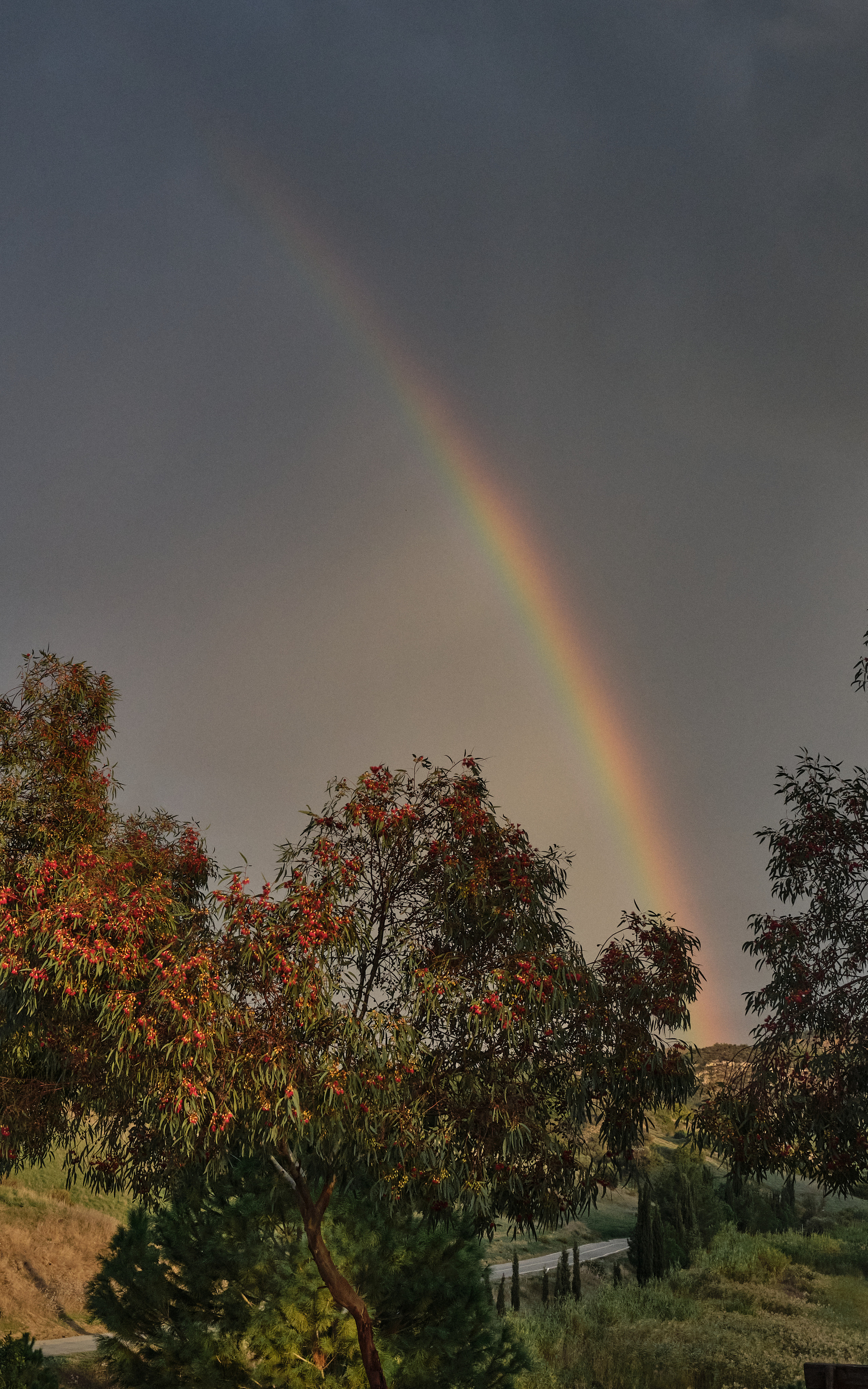 CYPRUS> > > > 2022\4. Aleksandr Kobtsev