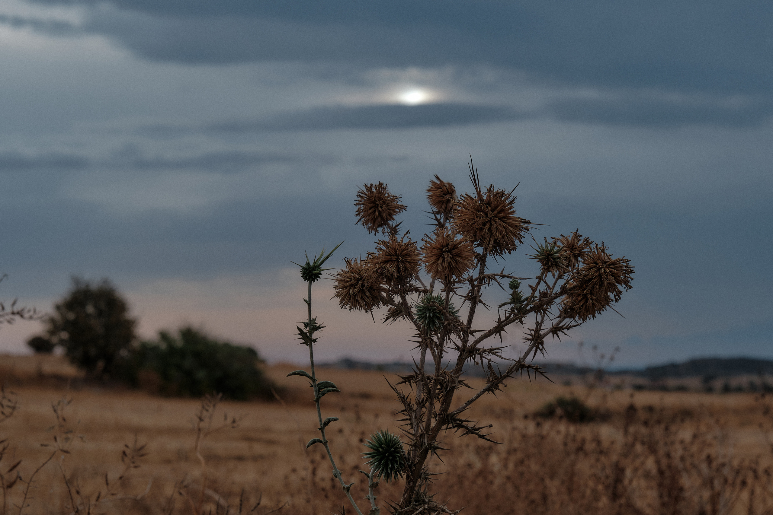 CYPRUS > > 2022\2. Aleksandr Kobtsev