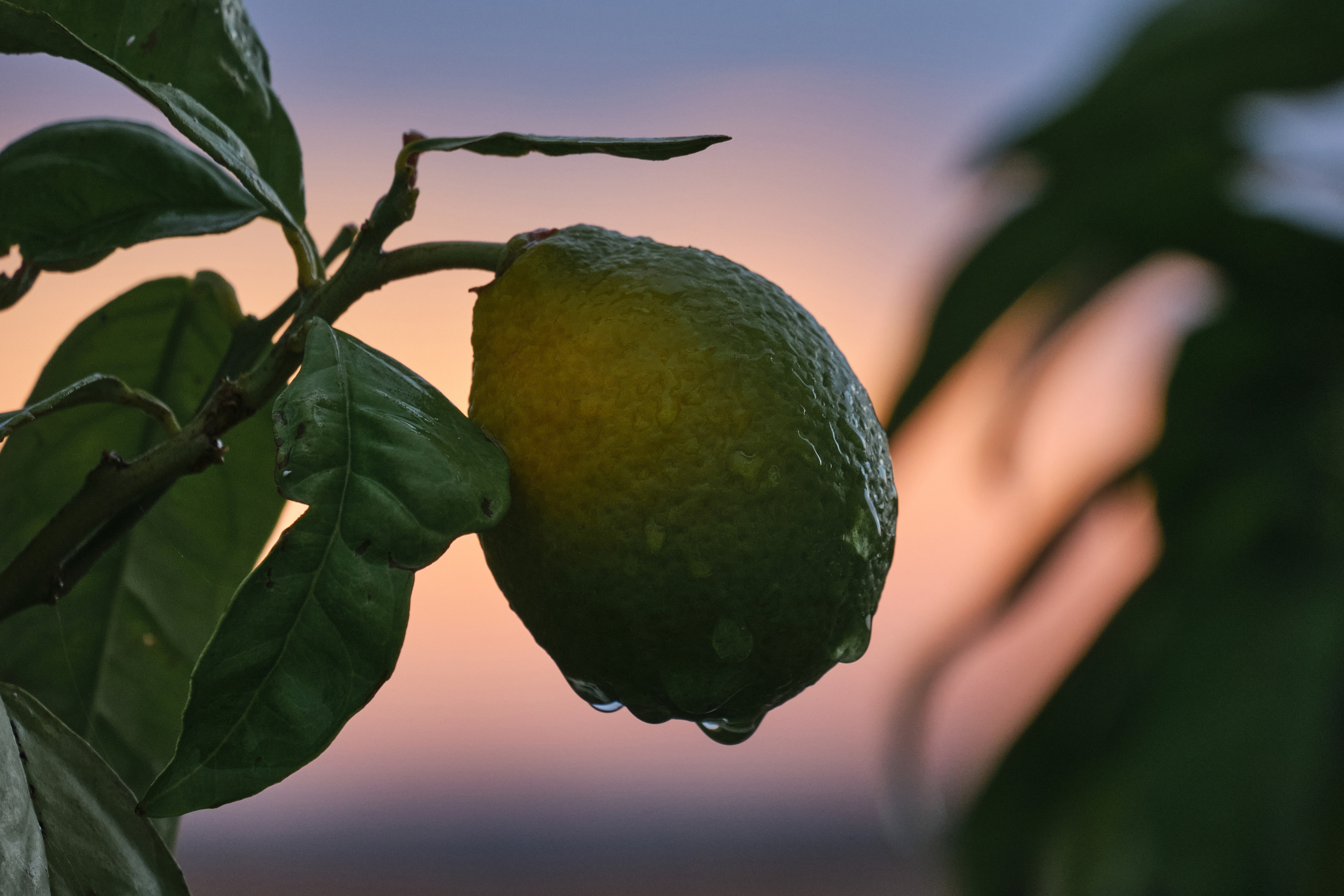 CYPRUS > > 2022\2. Aleksandr Kobtsev