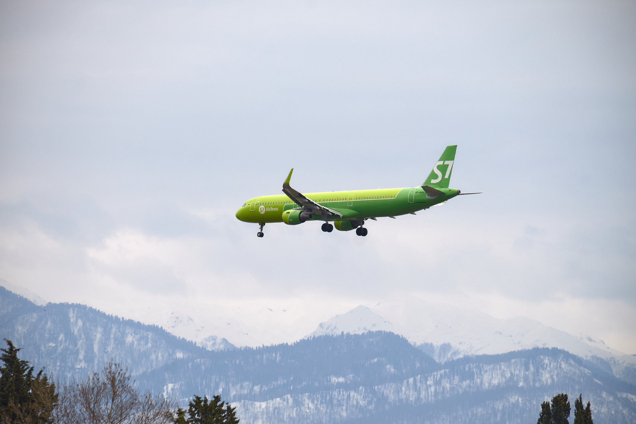 S7 Airlines. Aleksandr Kobtsev